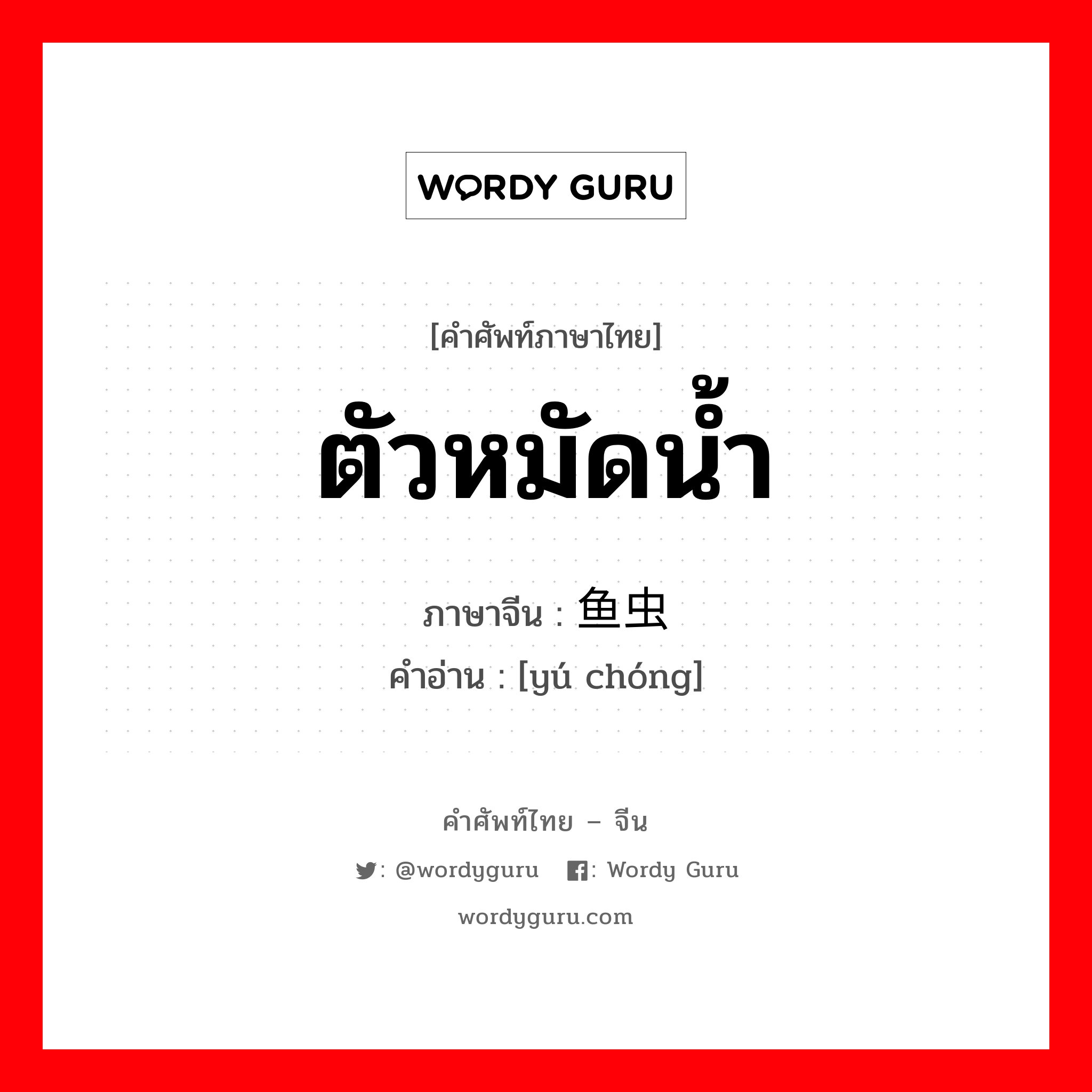 ตัวหมัดน้ำ ภาษาจีนคืออะไร, คำศัพท์ภาษาไทย - จีน ตัวหมัดน้ำ ภาษาจีน 鱼虫 คำอ่าน [yú chóng]