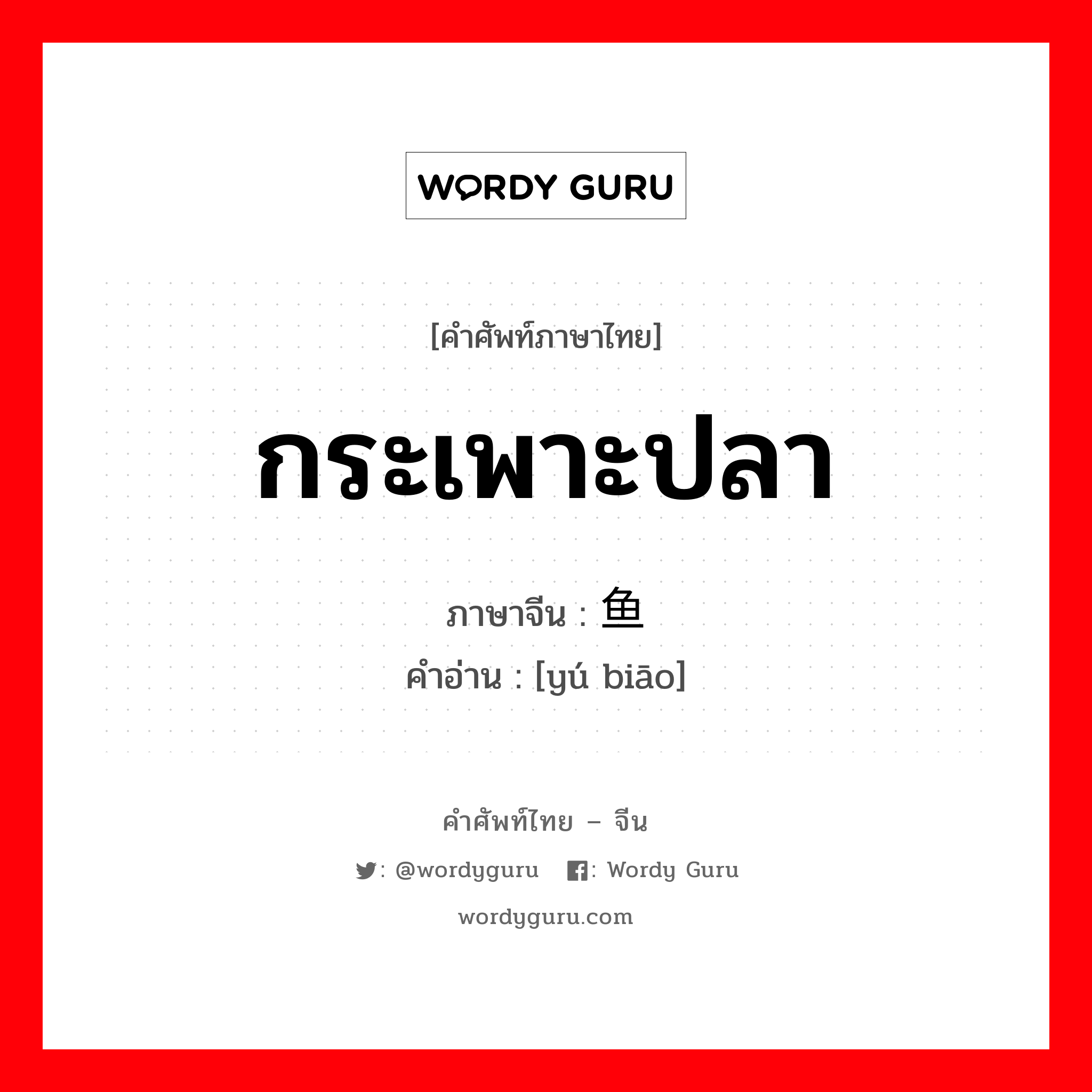 กระเพาะปลา ภาษาจีนคืออะไร, คำศัพท์ภาษาไทย - จีน กระเพาะปลา ภาษาจีน 鱼鳔 คำอ่าน [yú biāo]