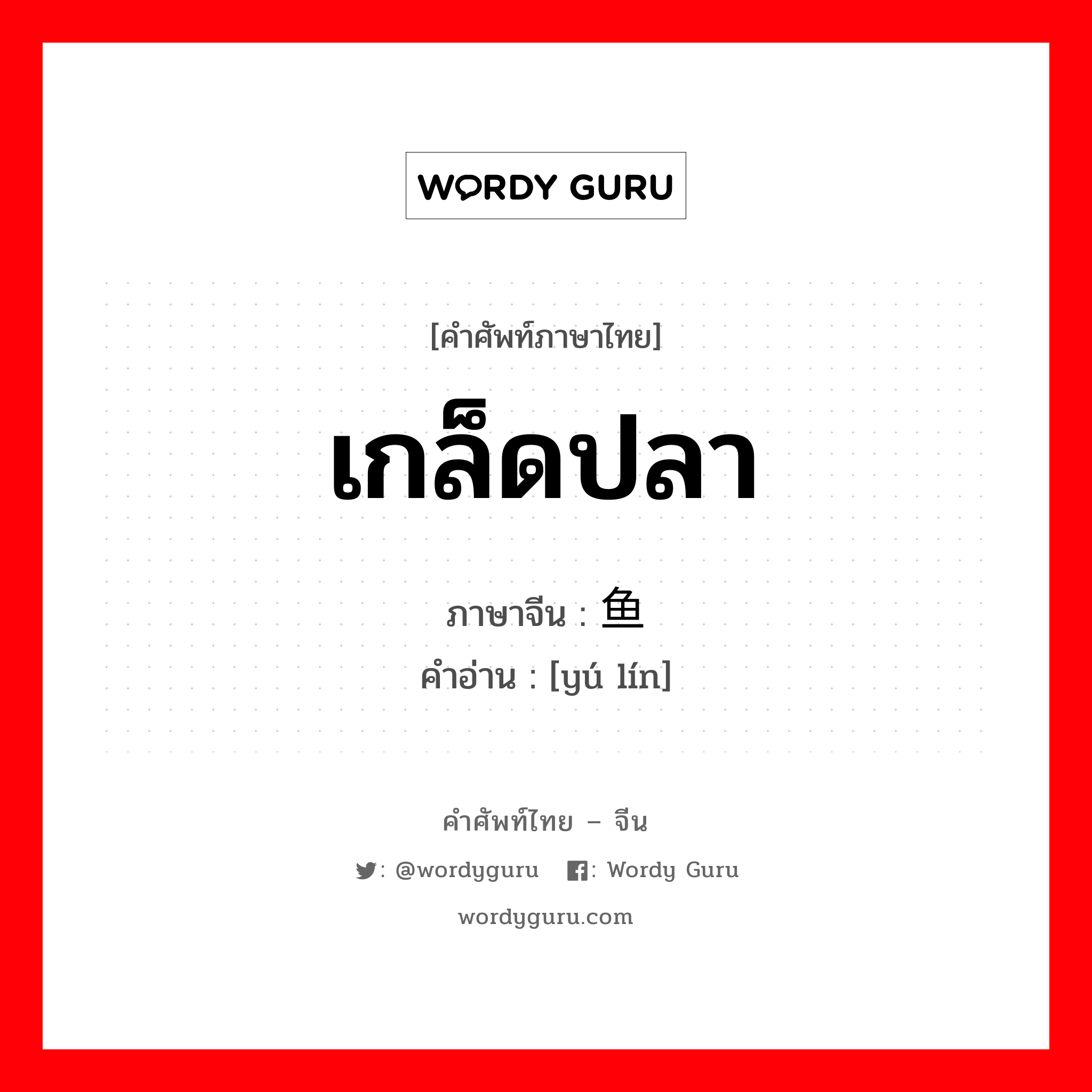 เกล็ดปลา ภาษาจีนคืออะไร, คำศัพท์ภาษาไทย - จีน เกล็ดปลา ภาษาจีน 鱼鳞 คำอ่าน [yú lín]