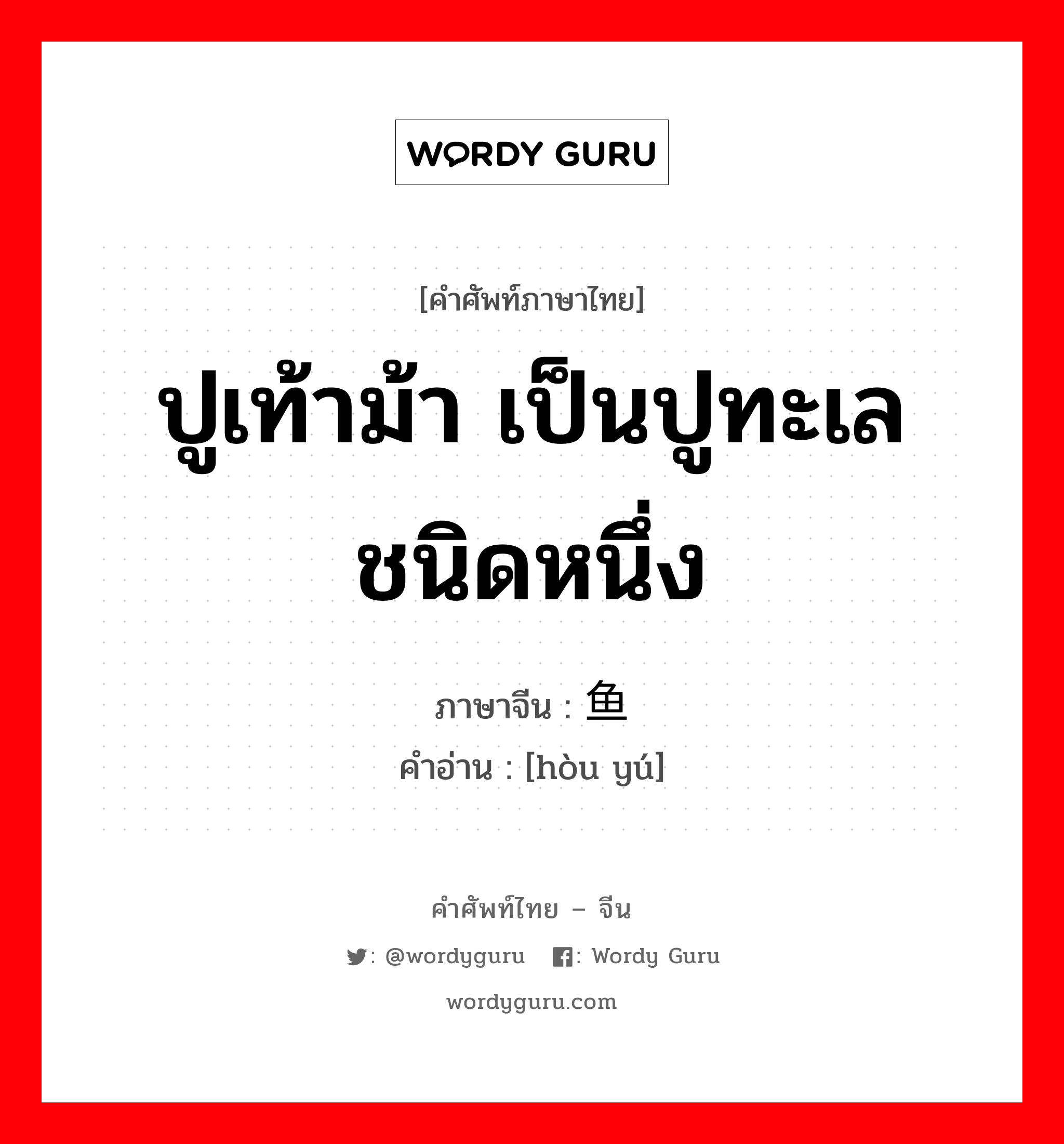 ปูเท้าม้า เป็นปูทะเลชนิดหนึ่ง ภาษาจีนคืออะไร, คำศัพท์ภาษาไทย - จีน ปูเท้าม้า เป็นปูทะเลชนิดหนึ่ง ภาษาจีน 鲎鱼 คำอ่าน [hòu yú]