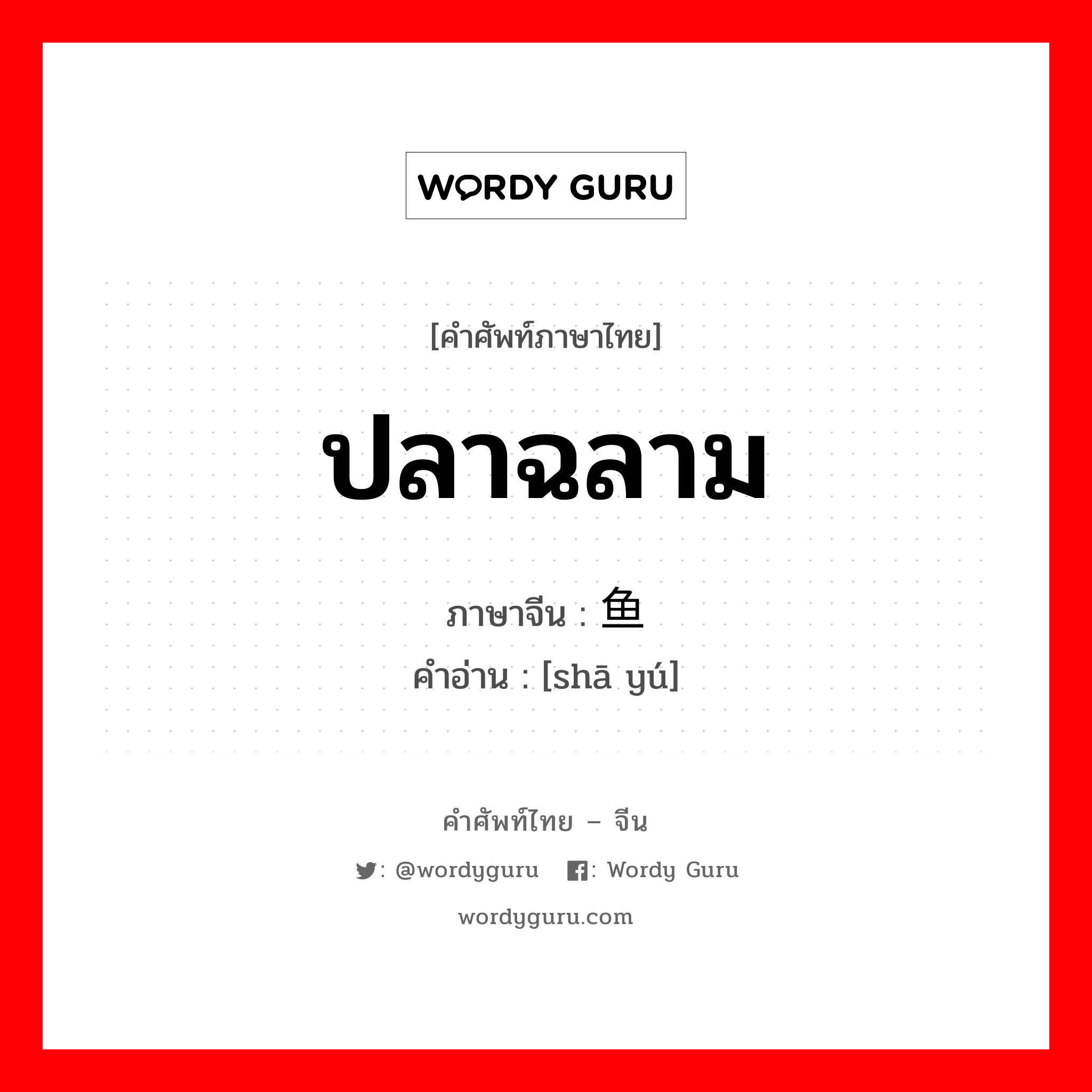 ปลาฉลาม ภาษาจีนคืออะไร, คำศัพท์ภาษาไทย - จีน ปลาฉลาม ภาษาจีน 鲨鱼 คำอ่าน [shā yú]