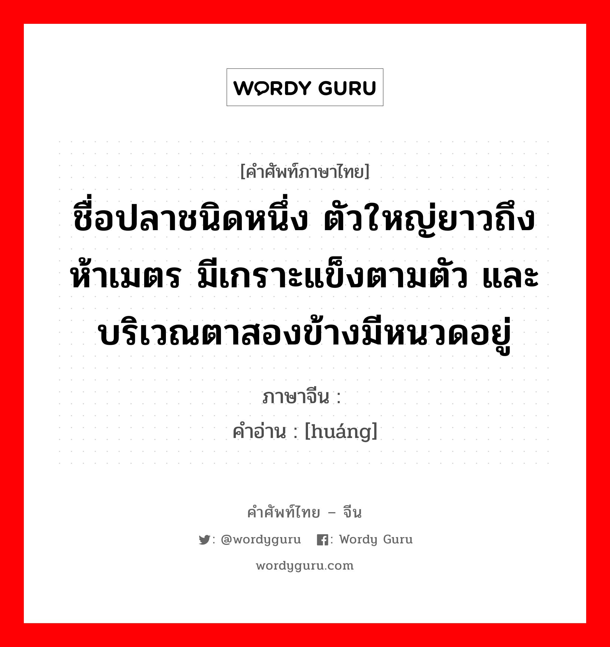 ชื่อปลาชนิดหนึ่ง ตัวใหญ่ยาวถึงห้าเมตร มีเกราะแข็งตามตัว และบริเวณตาสองข้างมีหนวดอยู่ ภาษาจีนคืออะไร, คำศัพท์ภาษาไทย - จีน ชื่อปลาชนิดหนึ่ง ตัวใหญ่ยาวถึงห้าเมตร มีเกราะแข็งตามตัว และบริเวณตาสองข้างมีหนวดอยู่ ภาษาจีน 鳇 คำอ่าน [huáng]