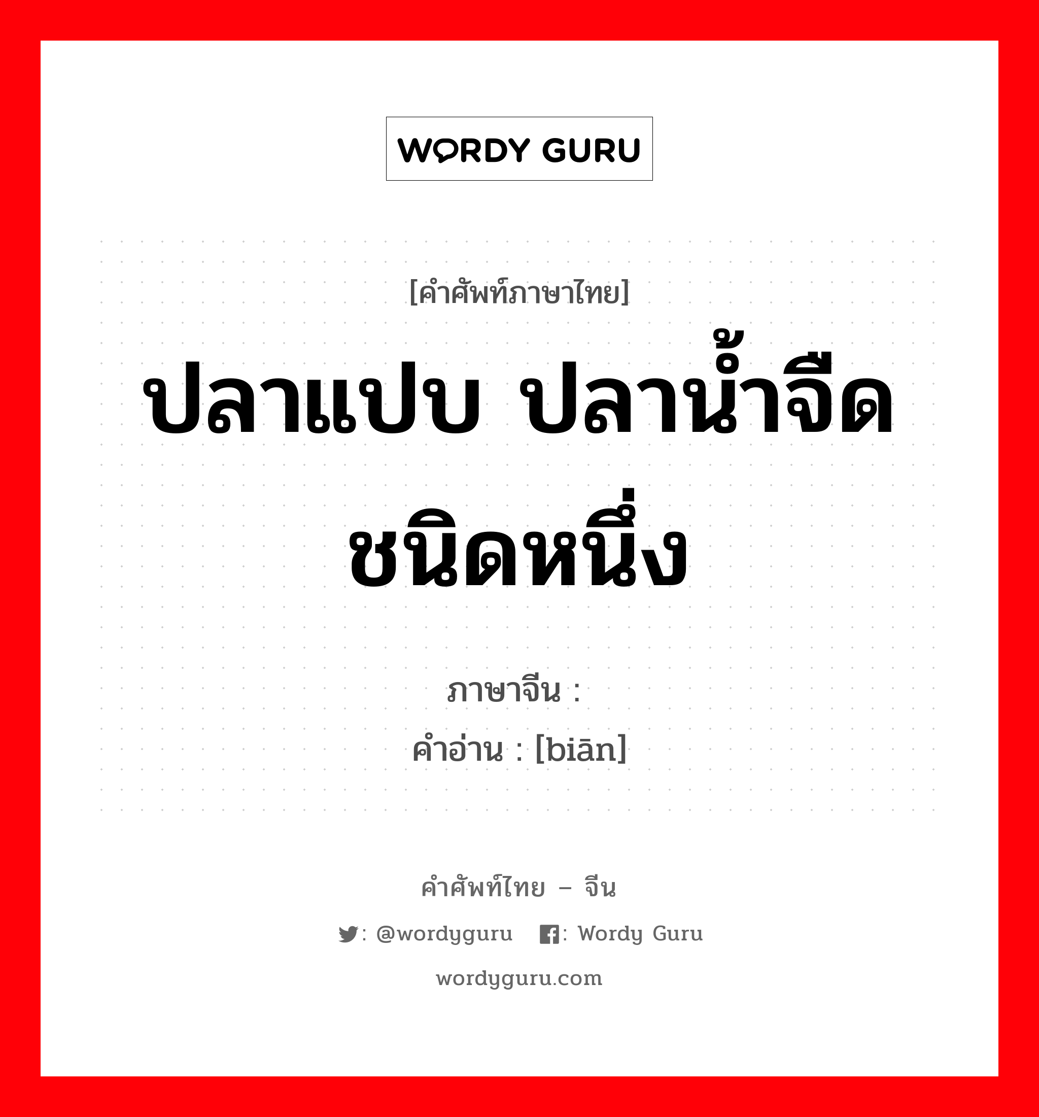 ปลาแปบ ปลาน้ำจืดชนิดหนึ่ง ภาษาจีนคืออะไร, คำศัพท์ภาษาไทย - จีน ปลาแปบ ปลาน้ำจืดชนิดหนึ่ง ภาษาจีน 鳊 คำอ่าน [biān]