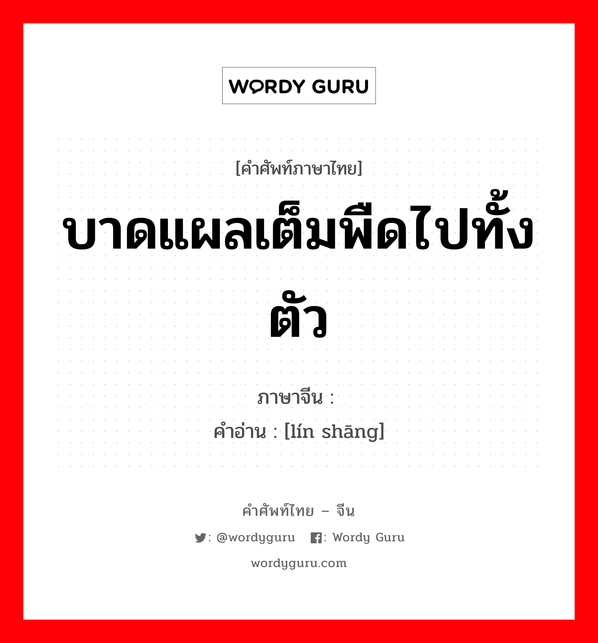 บาดแผลเต็มพืดไปทั้งตัว ภาษาจีนคืออะไร, คำศัพท์ภาษาไทย - จีน บาดแผลเต็มพืดไปทั้งตัว ภาษาจีน 鳞伤 คำอ่าน [lín shāng]