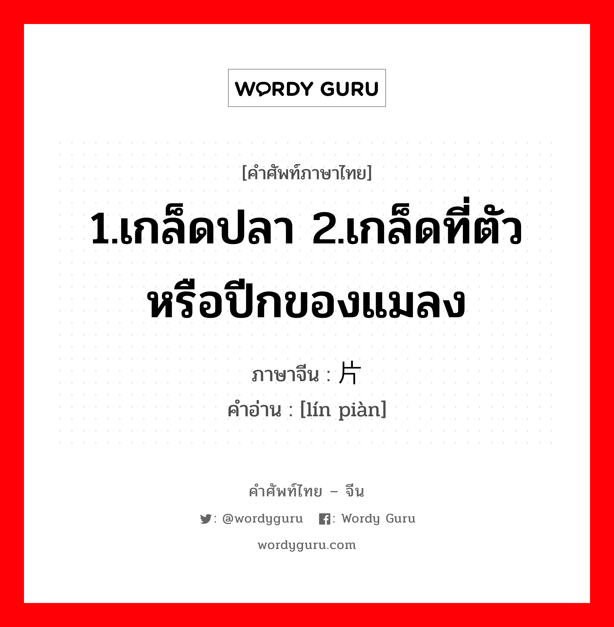 1.เกล็ดปลา 2.เกล็ดที่ตัวหรือปีกของแมลง ภาษาจีนคืออะไร, คำศัพท์ภาษาไทย - จีน 1.เกล็ดปลา 2.เกล็ดที่ตัวหรือปีกของแมลง ภาษาจีน 鳞片 คำอ่าน [lín piàn]