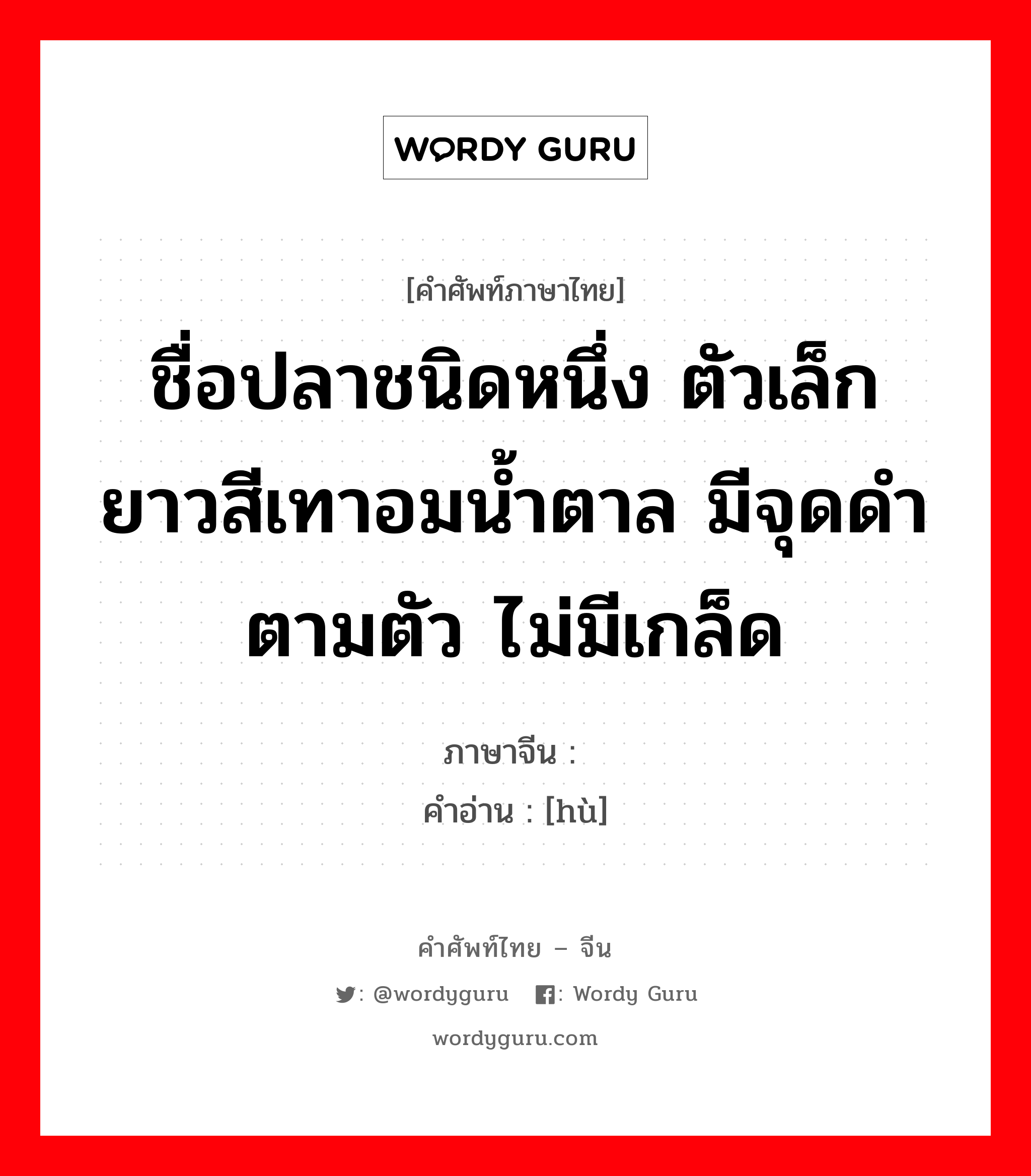 ชื่อปลาชนิดหนึ่ง ตัวเล็กยาวสีเทาอมน้ำตาล มีจุดดำตามตัว ไม่มีเกล็ด ภาษาจีนคืออะไร, คำศัพท์ภาษาไทย - จีน ชื่อปลาชนิดหนึ่ง ตัวเล็กยาวสีเทาอมน้ำตาล มีจุดดำตามตัว ไม่มีเกล็ด ภาษาจีน 鳠 คำอ่าน [hù]