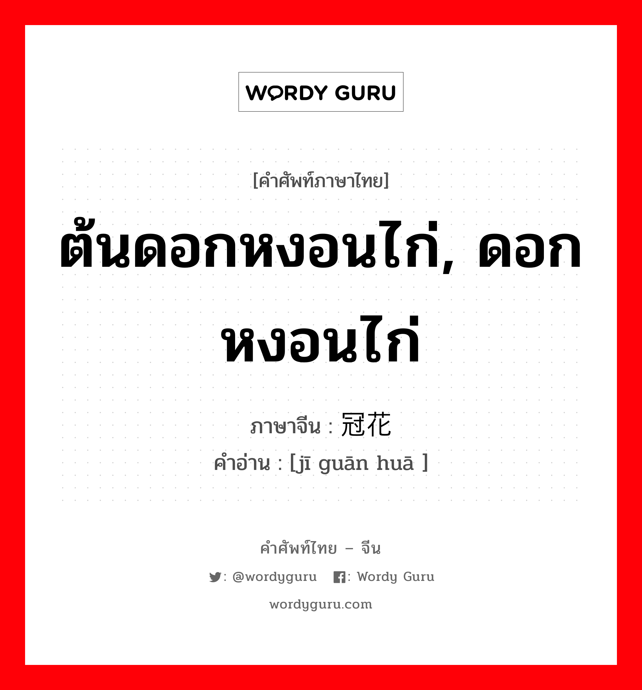 ต้นดอกหงอนไก่, ดอกหงอนไก่ ภาษาจีนคืออะไร, คำศัพท์ภาษาไทย - จีน ต้นดอกหงอนไก่, ดอกหงอนไก่ ภาษาจีน 鸡冠花 คำอ่าน [jī guān huā ]