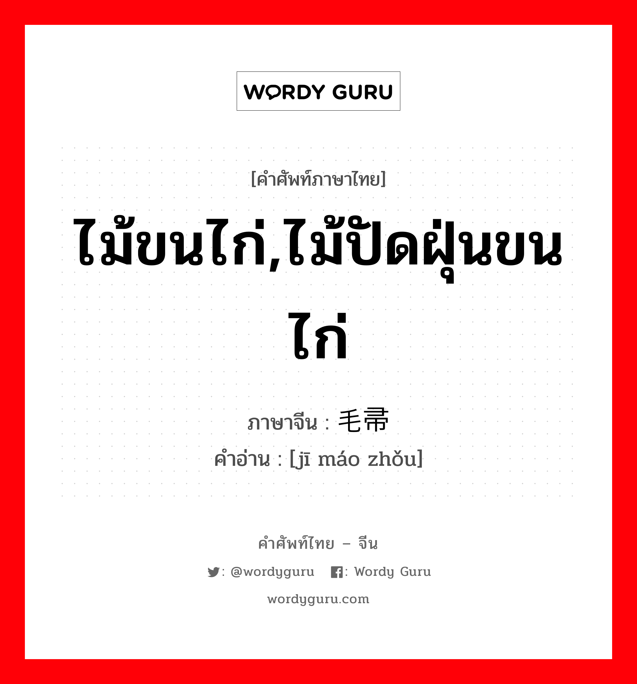 ไม้ขนไก่,ไม้ปัดฝุ่นขนไก่ ภาษาจีนคืออะไร, คำศัพท์ภาษาไทย - จีน ไม้ขนไก่,ไม้ปัดฝุ่นขนไก่ ภาษาจีน 鸡毛帚 คำอ่าน [jī máo zhǒu]