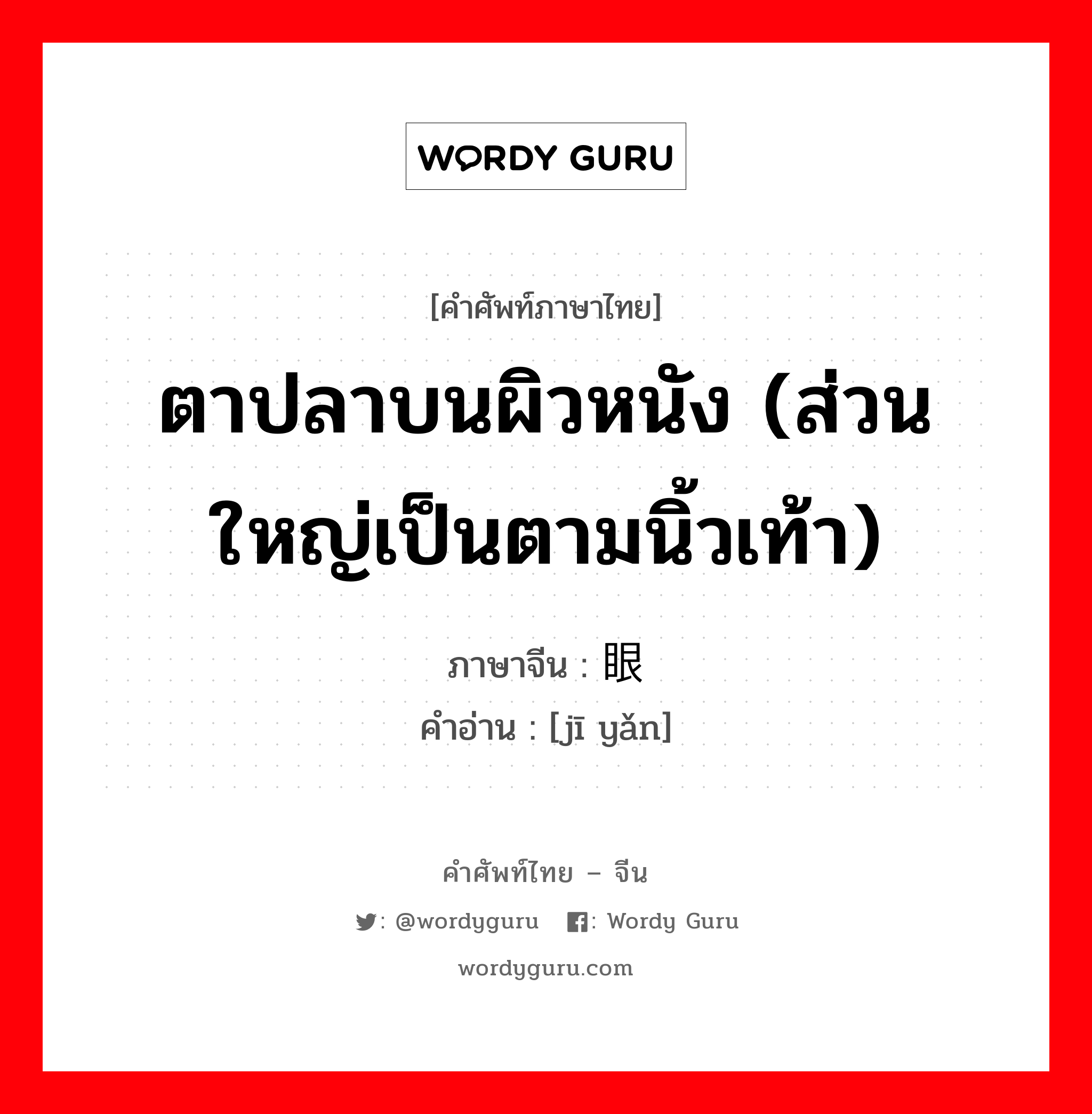 ตาปลาบนผิวหนัง (ส่วนใหญ่เป็นตามนิ้วเท้า) ภาษาจีนคืออะไร, คำศัพท์ภาษาไทย - จีน ตาปลาบนผิวหนัง (ส่วนใหญ่เป็นตามนิ้วเท้า) ภาษาจีน 鸡眼 คำอ่าน [jī yǎn]