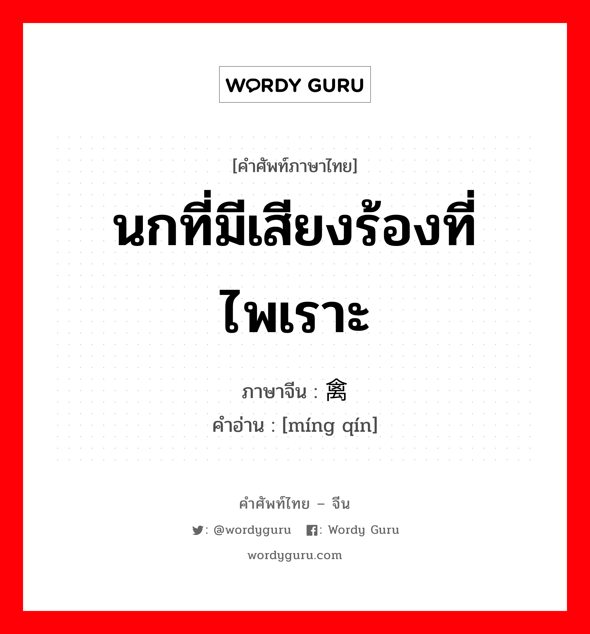 นกที่มีเสียงร้องที่ไพเราะ ภาษาจีนคืออะไร, คำศัพท์ภาษาไทย - จีน นกที่มีเสียงร้องที่ไพเราะ ภาษาจีน 鸣禽 คำอ่าน [míng qín]