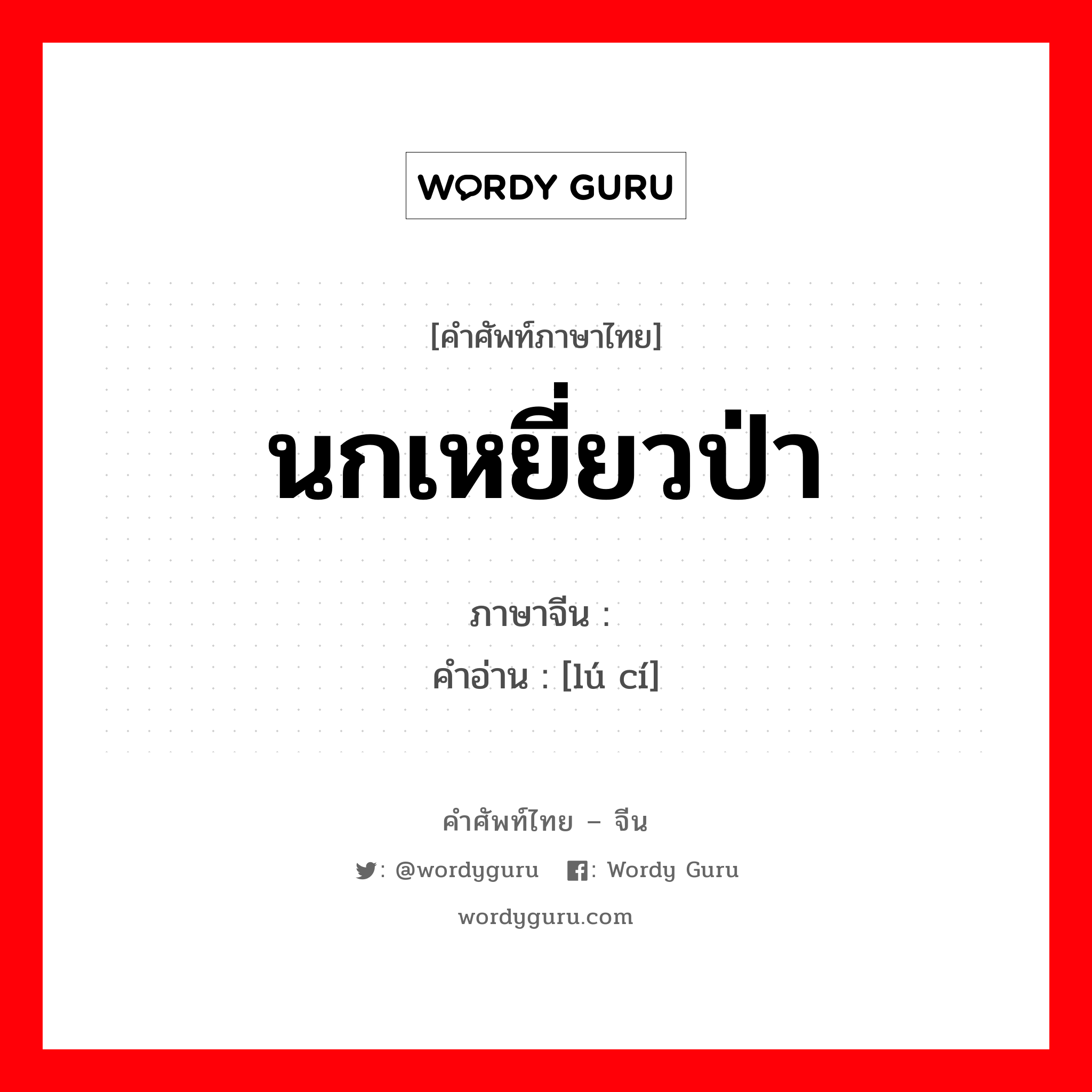 นกเหยี่ยวป่า ภาษาจีนคืออะไร, คำศัพท์ภาษาไทย - จีน นกเหยี่ยวป่า ภาษาจีน 鸬鹚 คำอ่าน [lú cí]