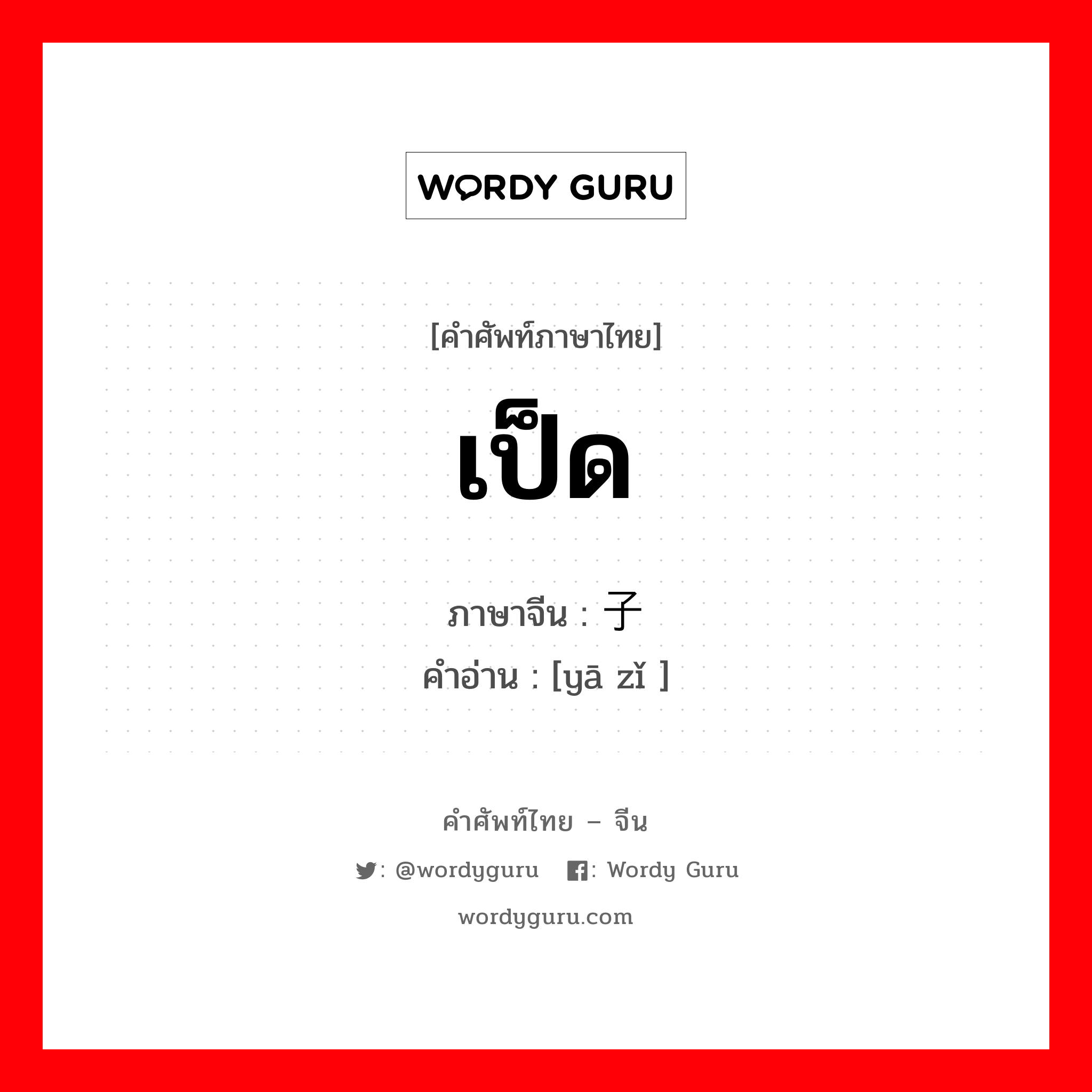 เป็ด ภาษาจีนคืออะไร, คำศัพท์ภาษาไทย - จีน เป็ด ภาษาจีน 鸭子 คำอ่าน [yā zǐ ]