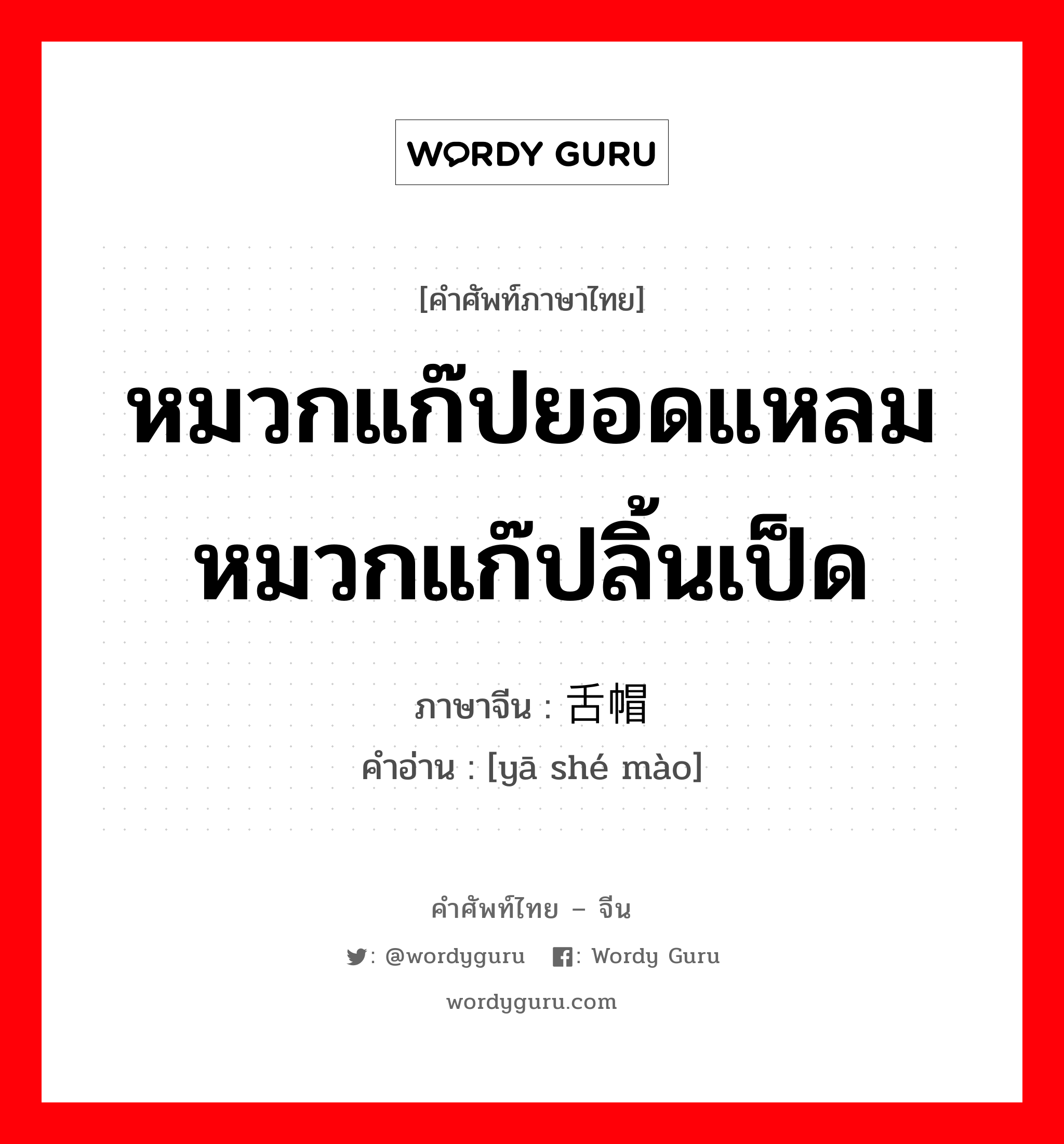 หมวกแก๊ปยอดแหลมหมวกแก๊ปลิ้นเป็ด ภาษาจีนคืออะไร, คำศัพท์ภาษาไทย - จีน หมวกแก๊ปยอดแหลมหมวกแก๊ปลิ้นเป็ด ภาษาจีน 鸭舌帽 คำอ่าน [yā shé mào]