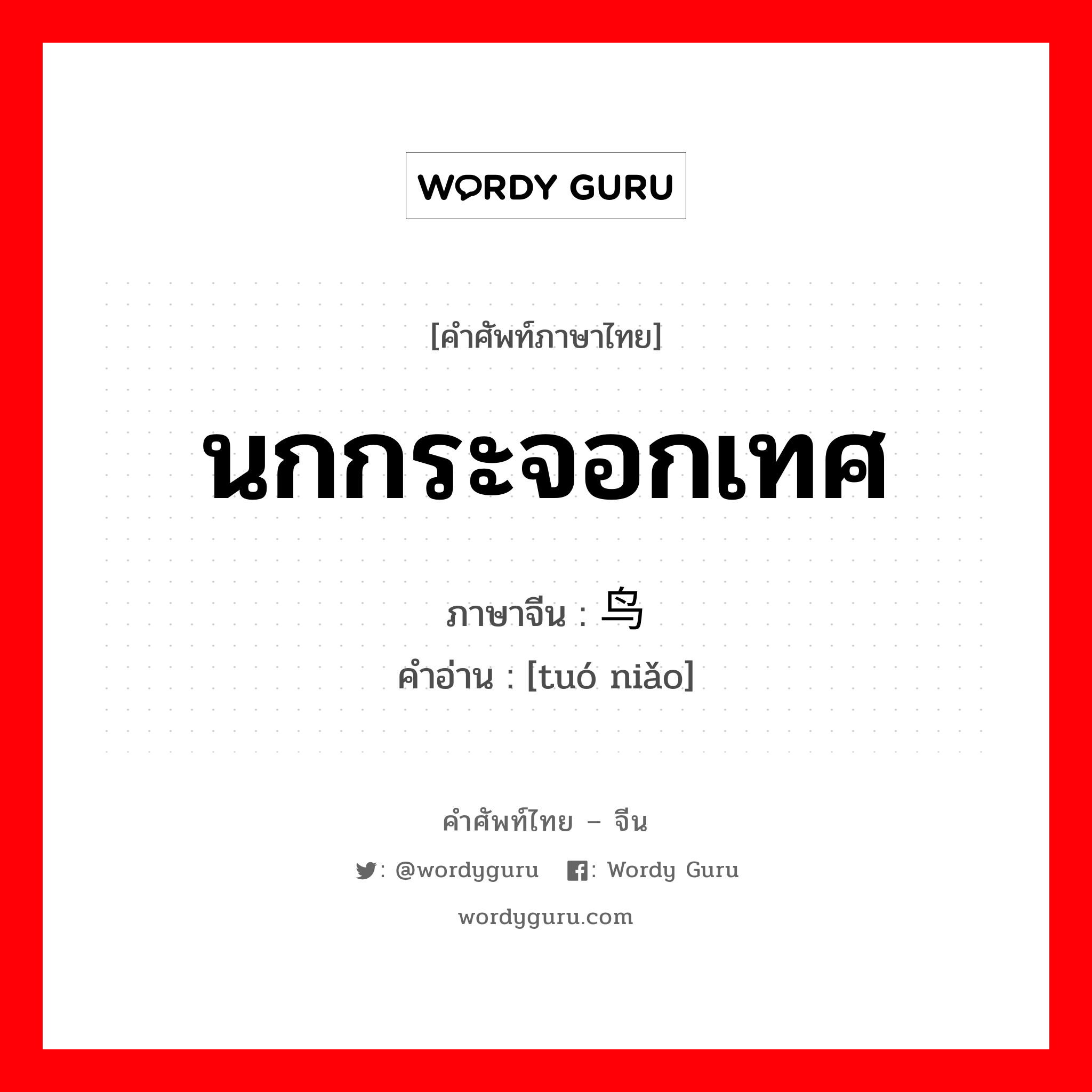 นกกระจอกเทศ ภาษาจีนคืออะไร, คำศัพท์ภาษาไทย - จีน นกกระจอกเทศ ภาษาจีน 鸵鸟 คำอ่าน [tuó niǎo]