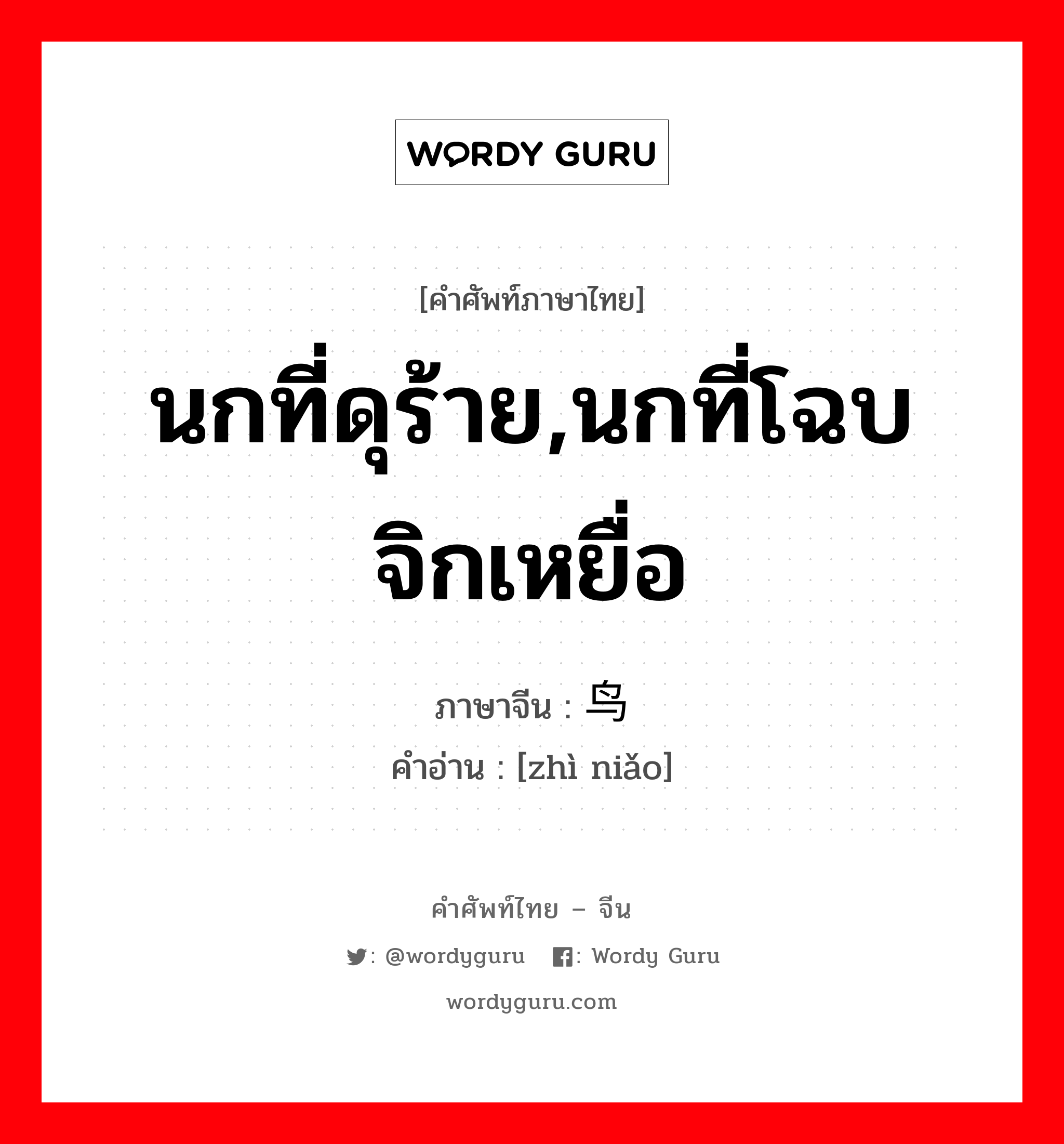 นกที่ดุร้าย,นกที่โฉบจิกเหยื่อ ภาษาจีนคืออะไร, คำศัพท์ภาษาไทย - จีน นกที่ดุร้าย,นกที่โฉบจิกเหยื่อ ภาษาจีน 鸷鸟 คำอ่าน [zhì niǎo]