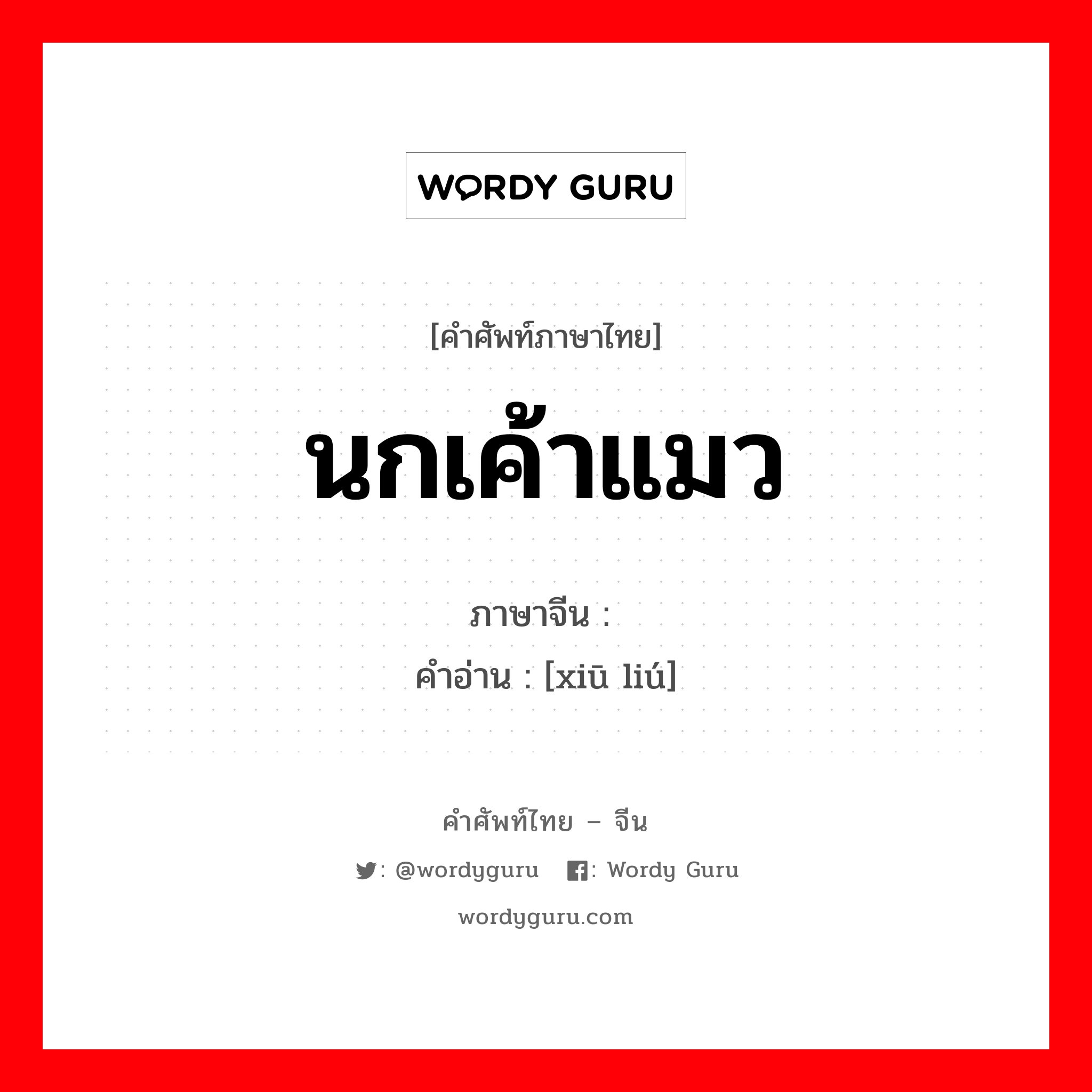 นกเค้าแมว ภาษาจีนคืออะไร, คำศัพท์ภาษาไทย - จีน นกเค้าแมว ภาษาจีน 鸺鹠 คำอ่าน [xiū liú]