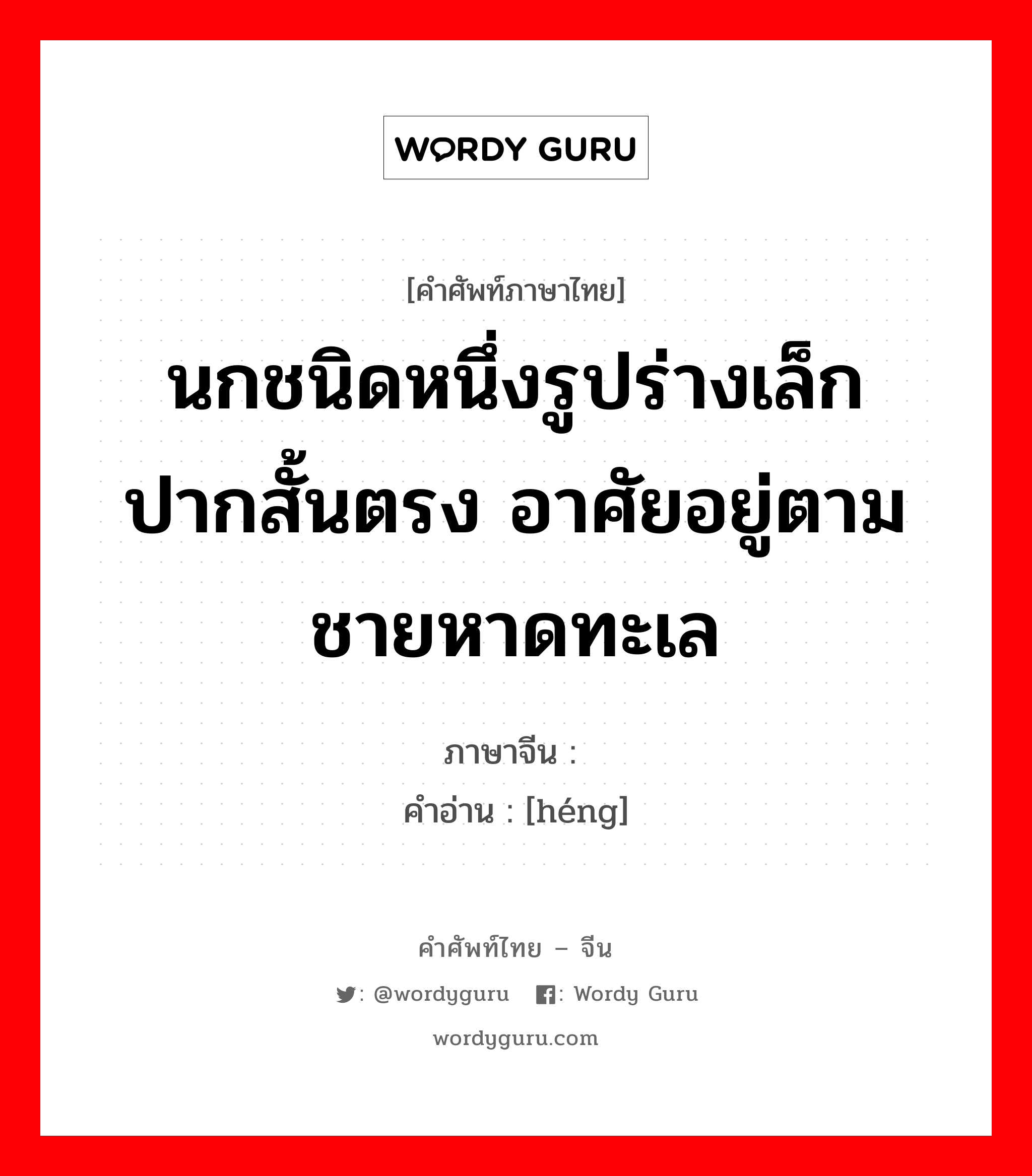 นกชนิดหนึ่งรูปร่างเล็ก ปากสั้นตรง อาศัยอยู่ตามชายหาดทะเล ภาษาจีนคืออะไร, คำศัพท์ภาษาไทย - จีน นกชนิดหนึ่งรูปร่างเล็ก ปากสั้นตรง อาศัยอยู่ตามชายหาดทะเล ภาษาจีน 鸻 คำอ่าน [héng]