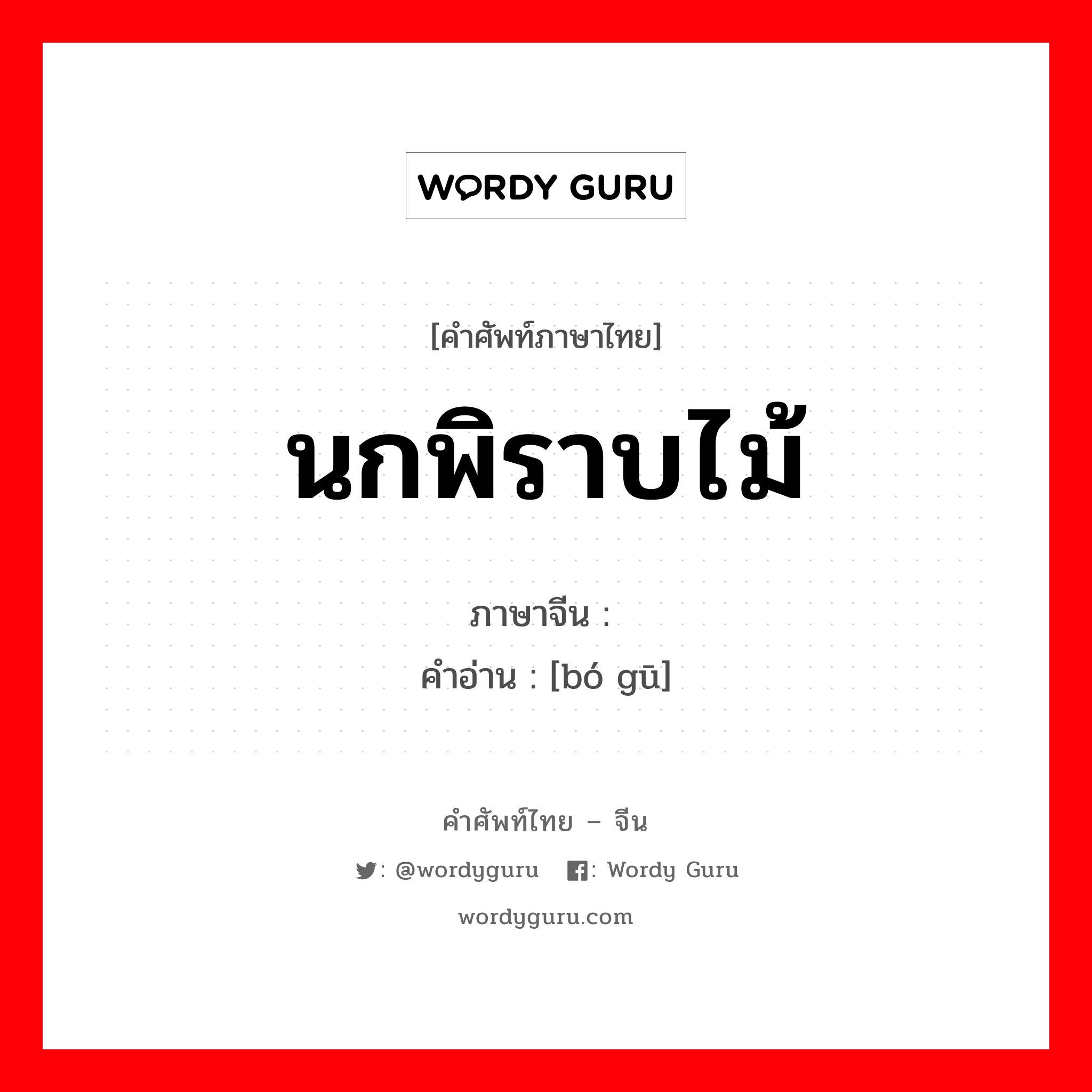 นกพิราบไม้ ภาษาจีนคืออะไร, คำศัพท์ภาษาไทย - จีน นกพิราบไม้ ภาษาจีน 鹁鸪 คำอ่าน [bó gū]