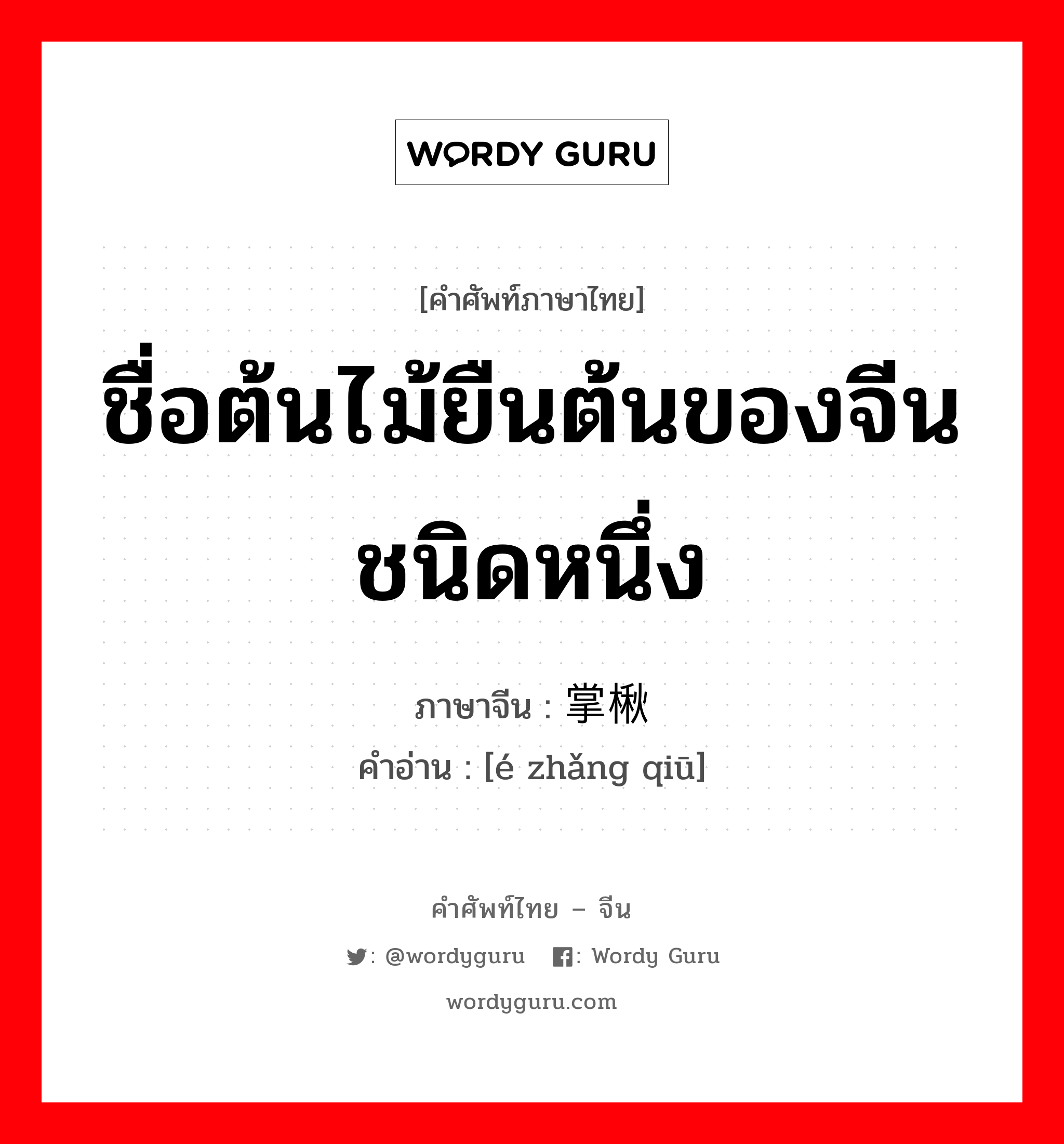 ชื่อต้นไม้ยืนต้นของจีนชนิดหนึ่ง ภาษาจีนคืออะไร, คำศัพท์ภาษาไทย - จีน ชื่อต้นไม้ยืนต้นของจีนชนิดหนึ่ง ภาษาจีน 鹅掌楸 คำอ่าน [é zhǎng qiū]