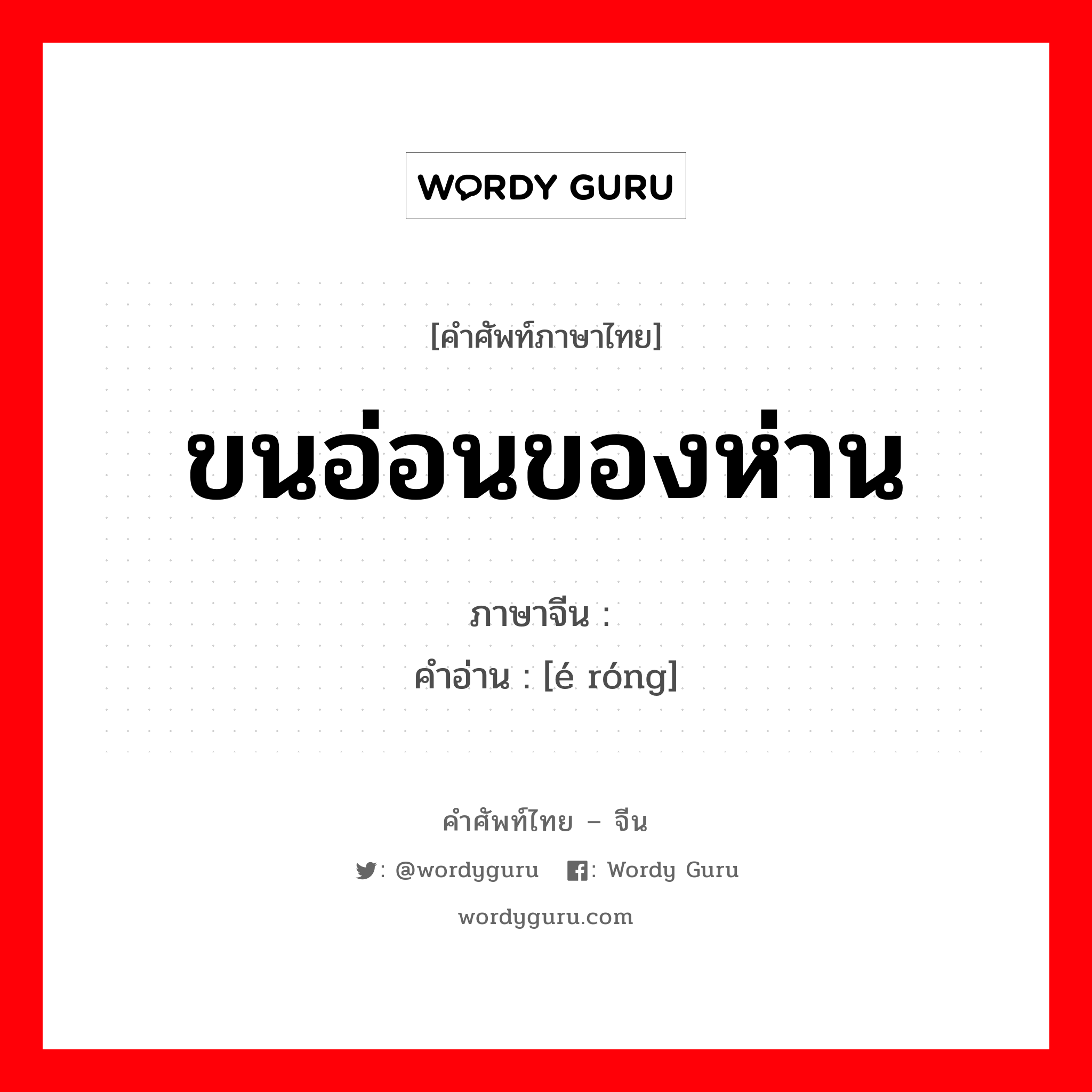 ขนอ่อนของห่าน ภาษาจีนคืออะไร, คำศัพท์ภาษาไทย - จีน ขนอ่อนของห่าน ภาษาจีน 鹅绒 คำอ่าน [é róng]