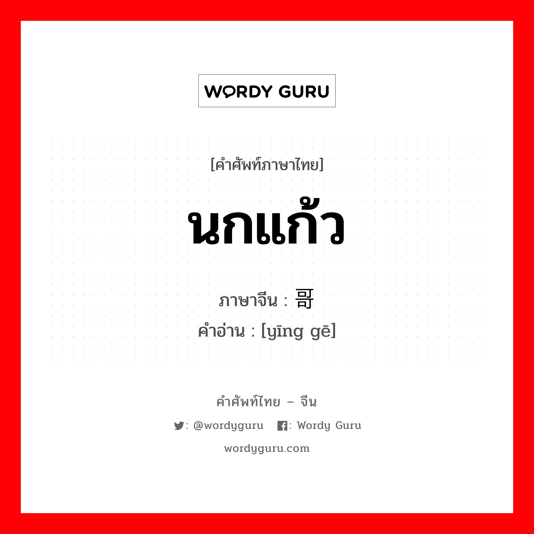 นกแก้ว ภาษาจีนคืออะไร, คำศัพท์ภาษาไทย - จีน นกแก้ว ภาษาจีน 鹦哥 คำอ่าน [yīng gē]