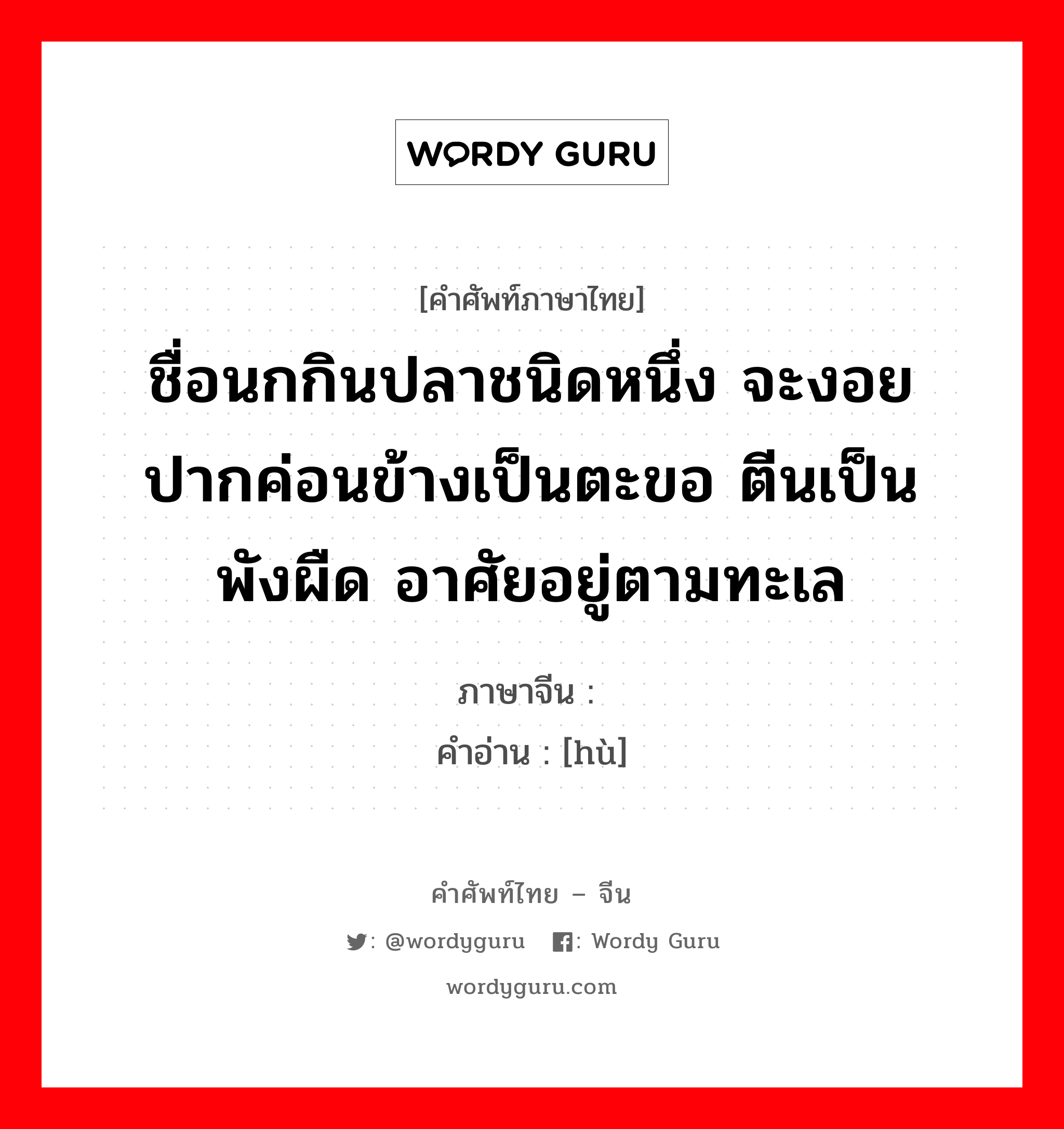 ชื่อนกกินปลาชนิดหนึ่ง จะงอยปากค่อนข้างเป็นตะขอ ตีนเป็นพังผืด อาศัยอยู่ตามทะเล ภาษาจีนคืออะไร, คำศัพท์ภาษาไทย - จีน ชื่อนกกินปลาชนิดหนึ่ง จะงอยปากค่อนข้างเป็นตะขอ ตีนเป็นพังผืด อาศัยอยู่ตามทะเล ภาษาจีน 鹱 คำอ่าน [hù]