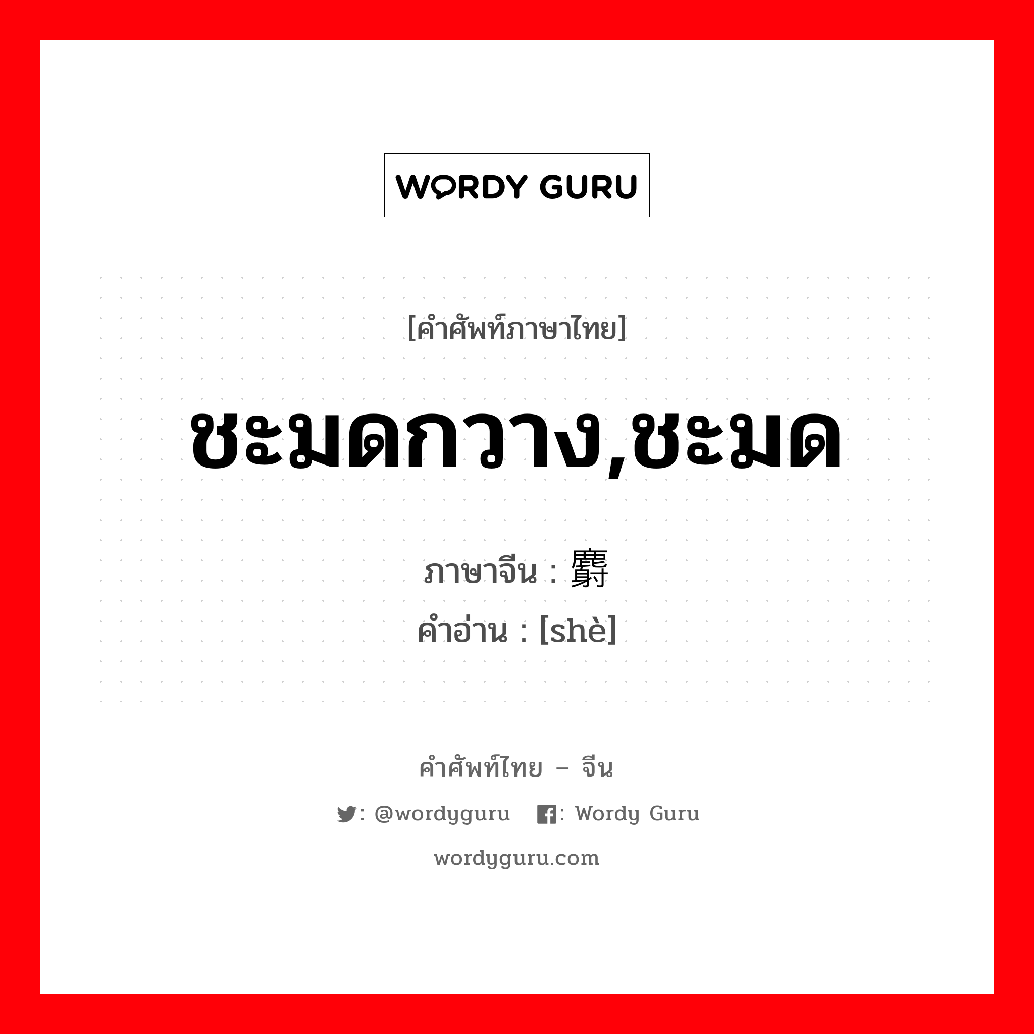 ชะมดกวาง,ชะมด ภาษาจีนคืออะไร, คำศัพท์ภาษาไทย - จีน ชะมดกวาง,ชะมด ภาษาจีน 麝 คำอ่าน [shè]