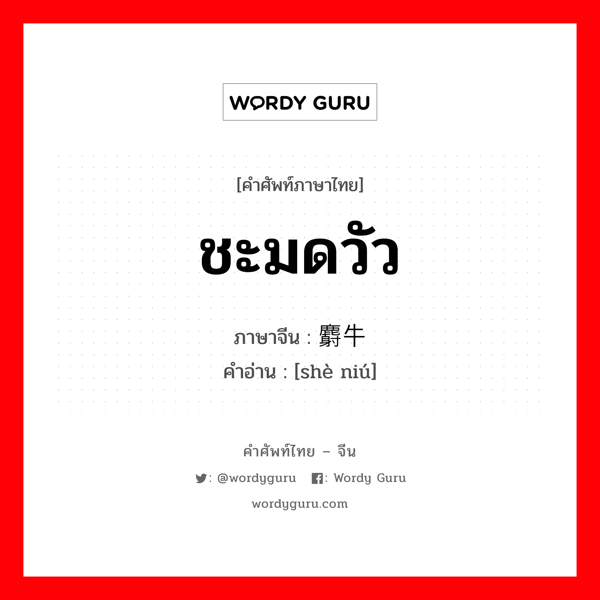 ชะมดวัว ภาษาจีนคืออะไร, คำศัพท์ภาษาไทย - จีน ชะมดวัว ภาษาจีน 麝牛 คำอ่าน [shè niú]