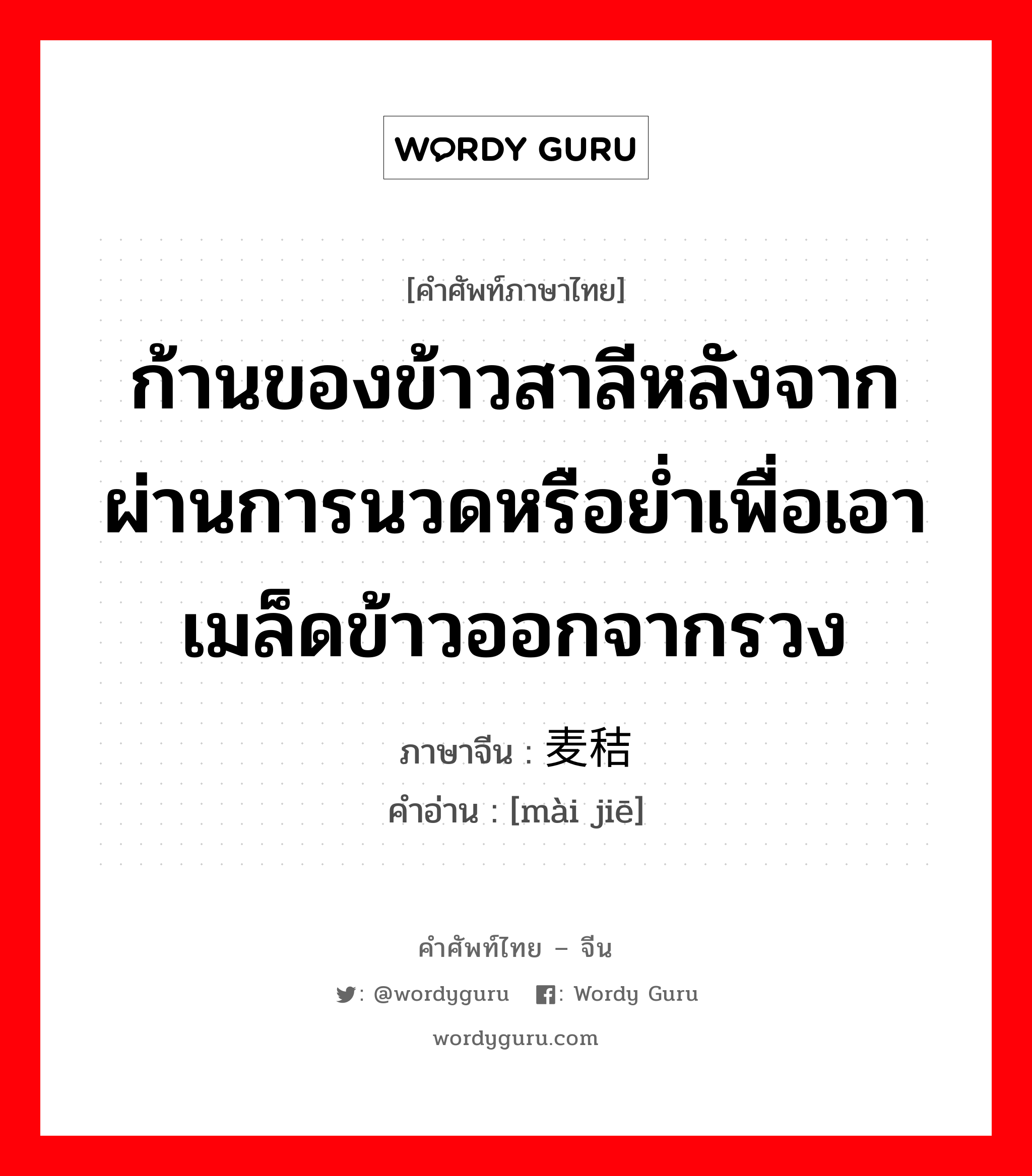 ก้านของข้าวสาลีหลังจากผ่านการนวดหรือย่ำเพื่อเอาเมล็ดข้าวออกจากรวง ภาษาจีนคืออะไร, คำศัพท์ภาษาไทย - จีน ก้านของข้าวสาลีหลังจากผ่านการนวดหรือย่ำเพื่อเอาเมล็ดข้าวออกจากรวง ภาษาจีน 麦秸 คำอ่าน [mài jiē]