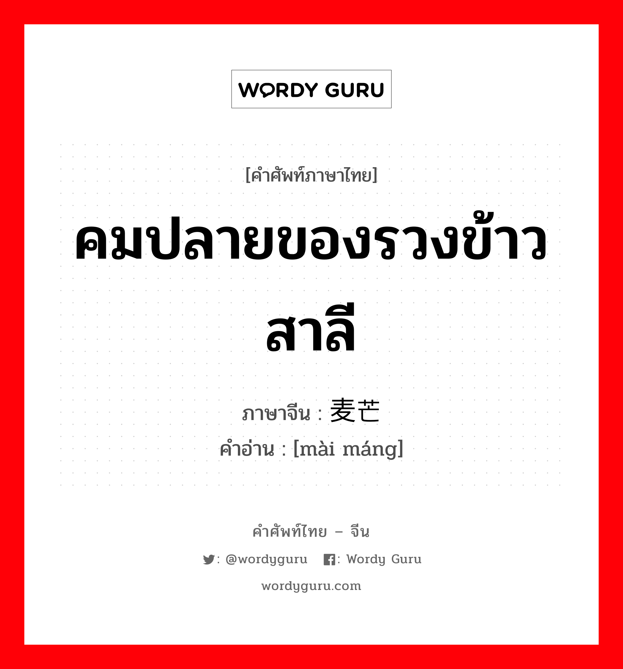 คมปลายของรวงข้าวสาลี ภาษาจีนคืออะไร, คำศัพท์ภาษาไทย - จีน คมปลายของรวงข้าวสาลี ภาษาจีน 麦芒 คำอ่าน [mài máng]