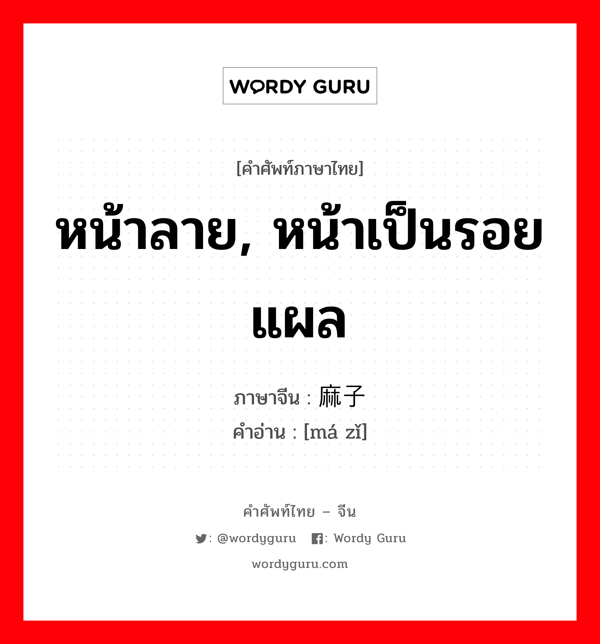 หน้าลาย, หน้าเป็นรอยแผล ภาษาจีนคืออะไร, คำศัพท์ภาษาไทย - จีน หน้าลาย, หน้าเป็นรอยแผล ภาษาจีน 麻子 คำอ่าน [má zǐ]