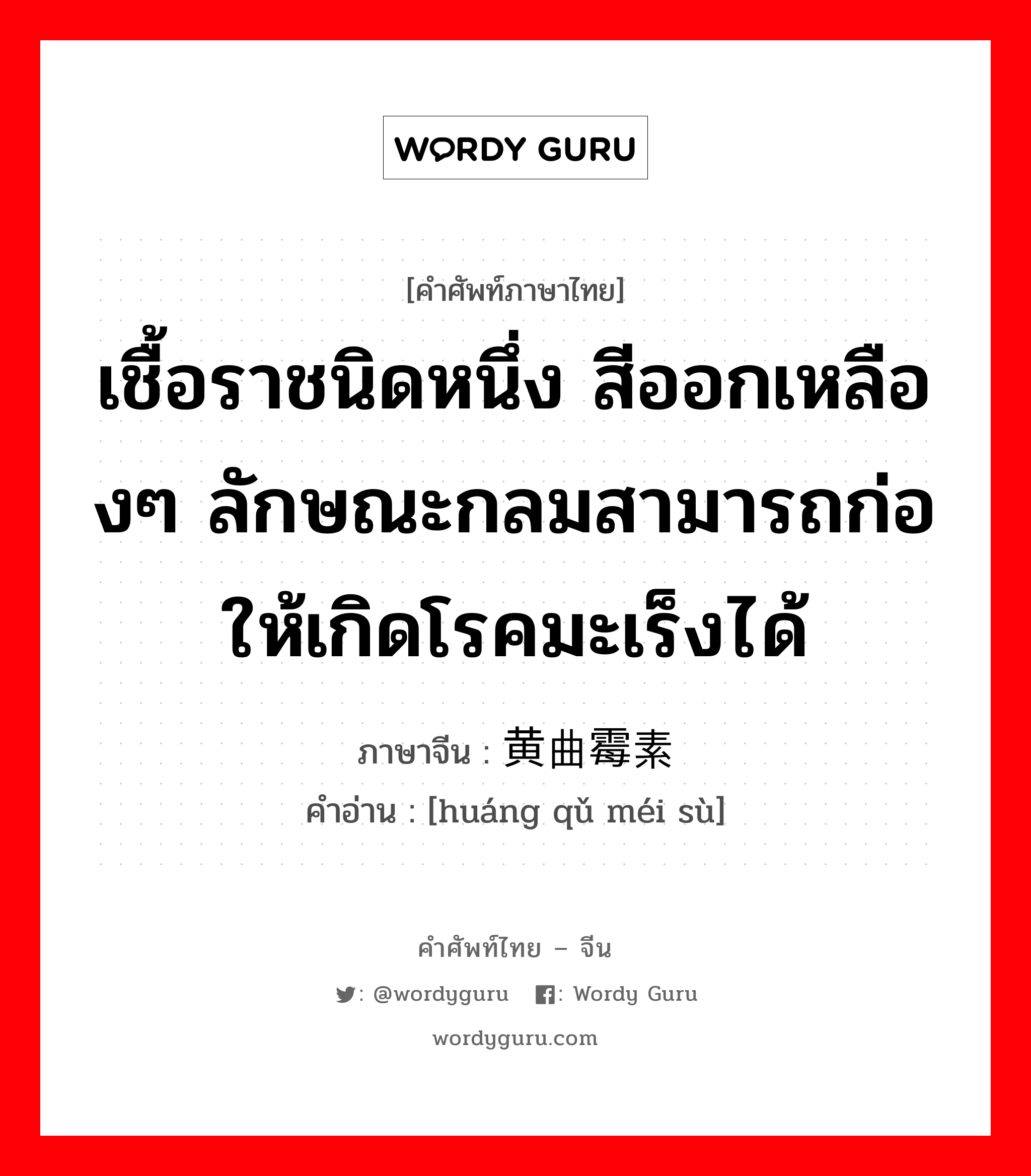 เชื้อราชนิดหนึ่ง สีออกเหลืองๆ ลักษณะกลมสามารถก่อให้เกิดโรคมะเร็งได้ ภาษาจีนคืออะไร, คำศัพท์ภาษาไทย - จีน เชื้อราชนิดหนึ่ง สีออกเหลืองๆ ลักษณะกลมสามารถก่อให้เกิดโรคมะเร็งได้ ภาษาจีน 黄曲霉素 คำอ่าน [huáng qǔ méi sù]