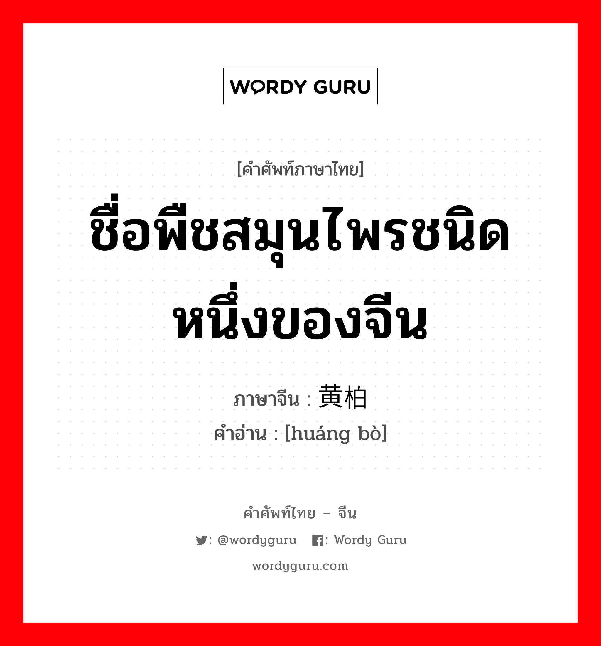 ชื่อพืชสมุนไพรชนิดหนึ่งของจีน ภาษาจีนคืออะไร, คำศัพท์ภาษาไทย - จีน ชื่อพืชสมุนไพรชนิดหนึ่งของจีน ภาษาจีน 黄柏 คำอ่าน [huáng bò]