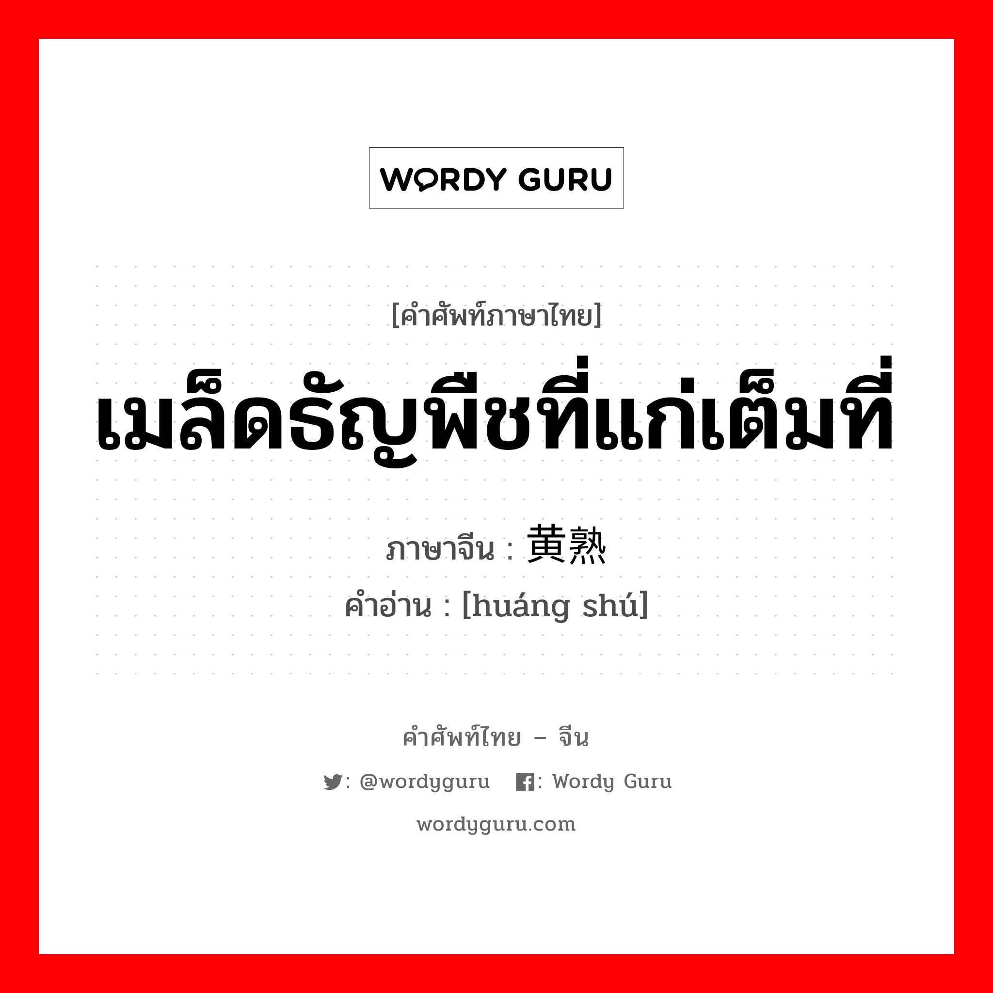 เมล็ดธัญพืชที่แก่เต็มที่ ภาษาจีนคืออะไร, คำศัพท์ภาษาไทย - จีน เมล็ดธัญพืชที่แก่เต็มที่ ภาษาจีน 黄熟 คำอ่าน [huáng shú]