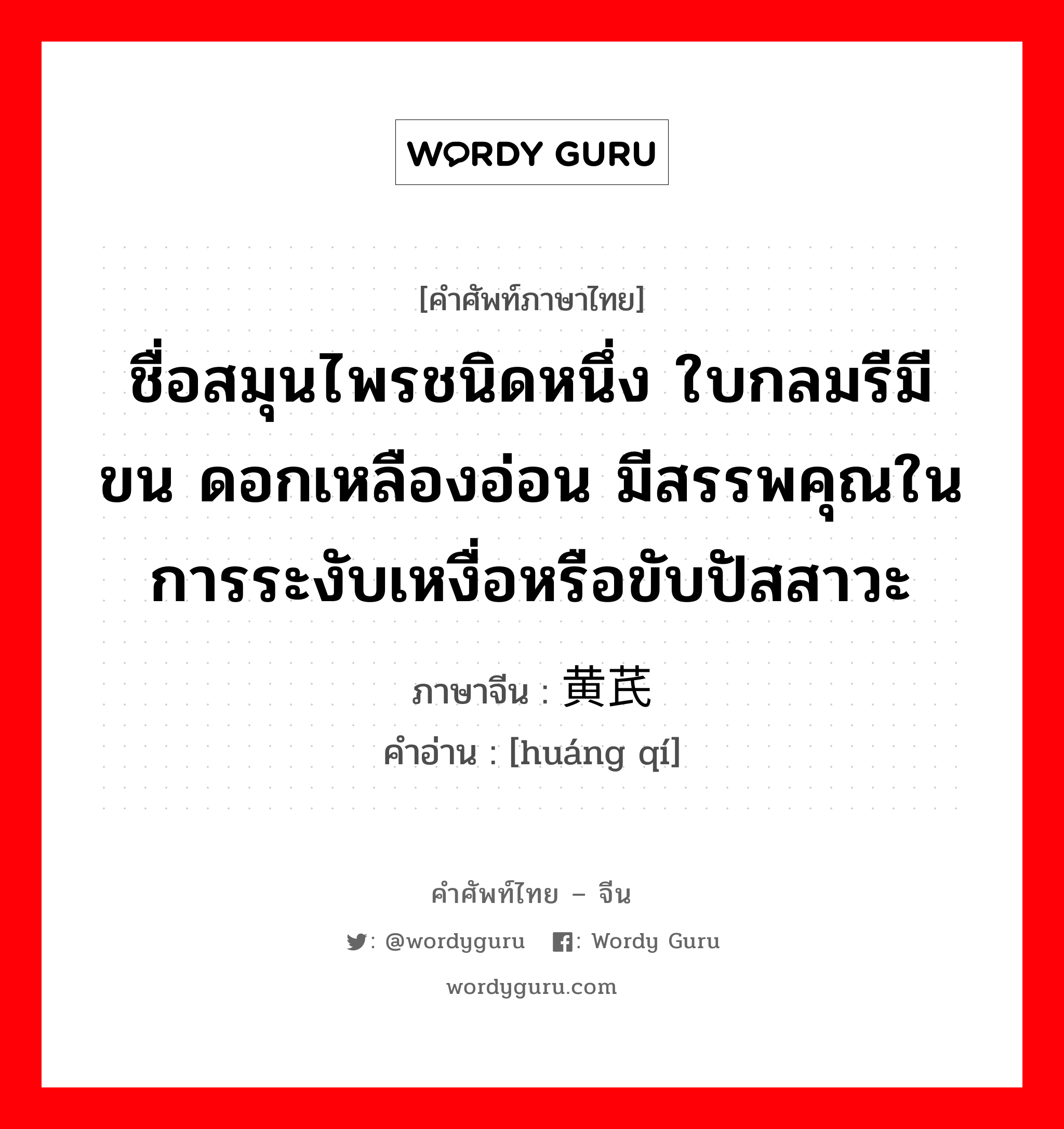 ชื่อสมุนไพรชนิดหนึ่ง ใบกลมรีมีขน ดอกเหลืองอ่อน มีสรรพคุณในการระงับเหงื่อหรือขับปัสสาวะ ภาษาจีนคืออะไร, คำศัพท์ภาษาไทย - จีน ชื่อสมุนไพรชนิดหนึ่ง ใบกลมรีมีขน ดอกเหลืองอ่อน มีสรรพคุณในการระงับเหงื่อหรือขับปัสสาวะ ภาษาจีน 黄芪 คำอ่าน [huáng qí]