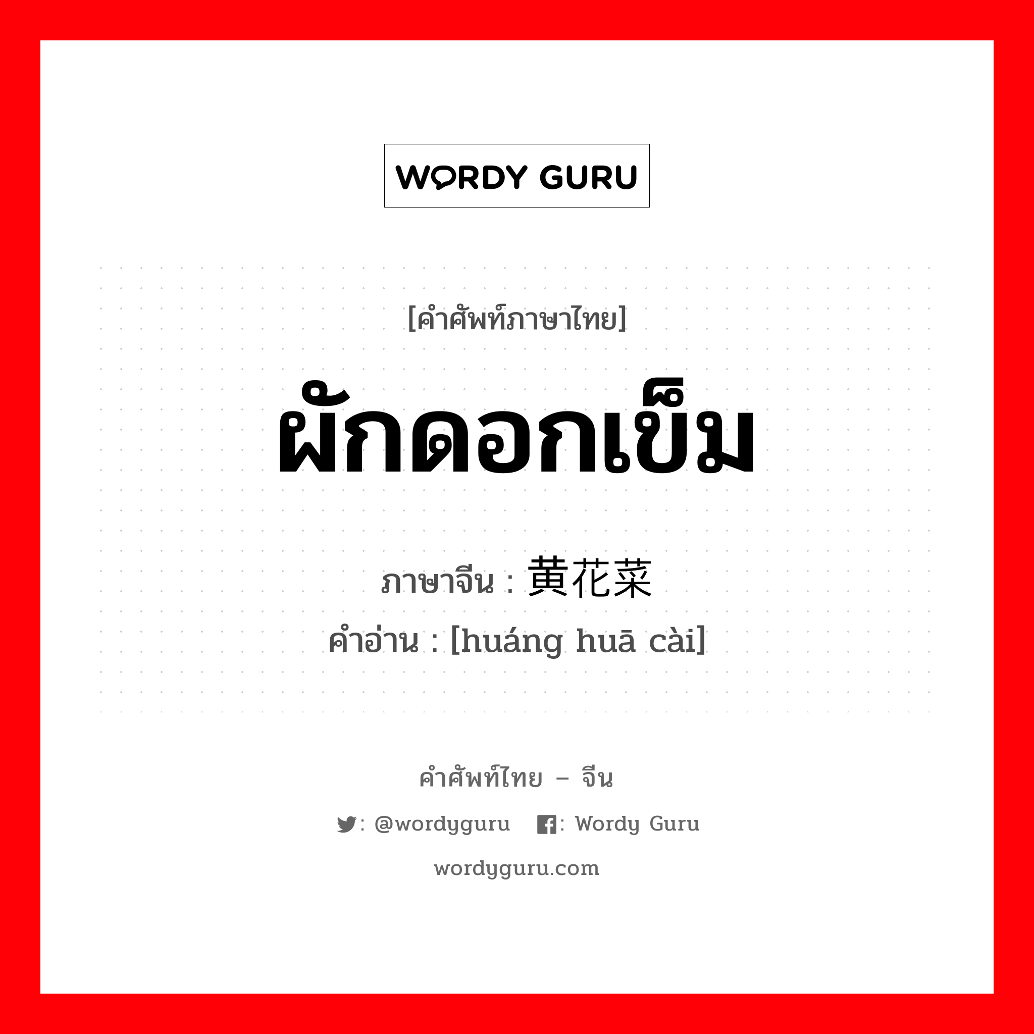 ผักดอกเข็ม ภาษาจีนคืออะไร, คำศัพท์ภาษาไทย - จีน ผักดอกเข็ม ภาษาจีน 黄花菜 คำอ่าน [huáng huā cài]