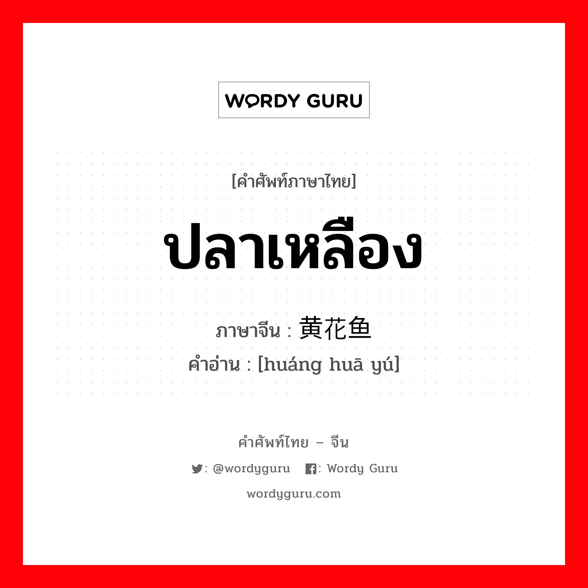 ปลาเหลือง ภาษาจีนคืออะไร, คำศัพท์ภาษาไทย - จีน ปลาเหลือง ภาษาจีน 黄花鱼 คำอ่าน [huáng huā yú]