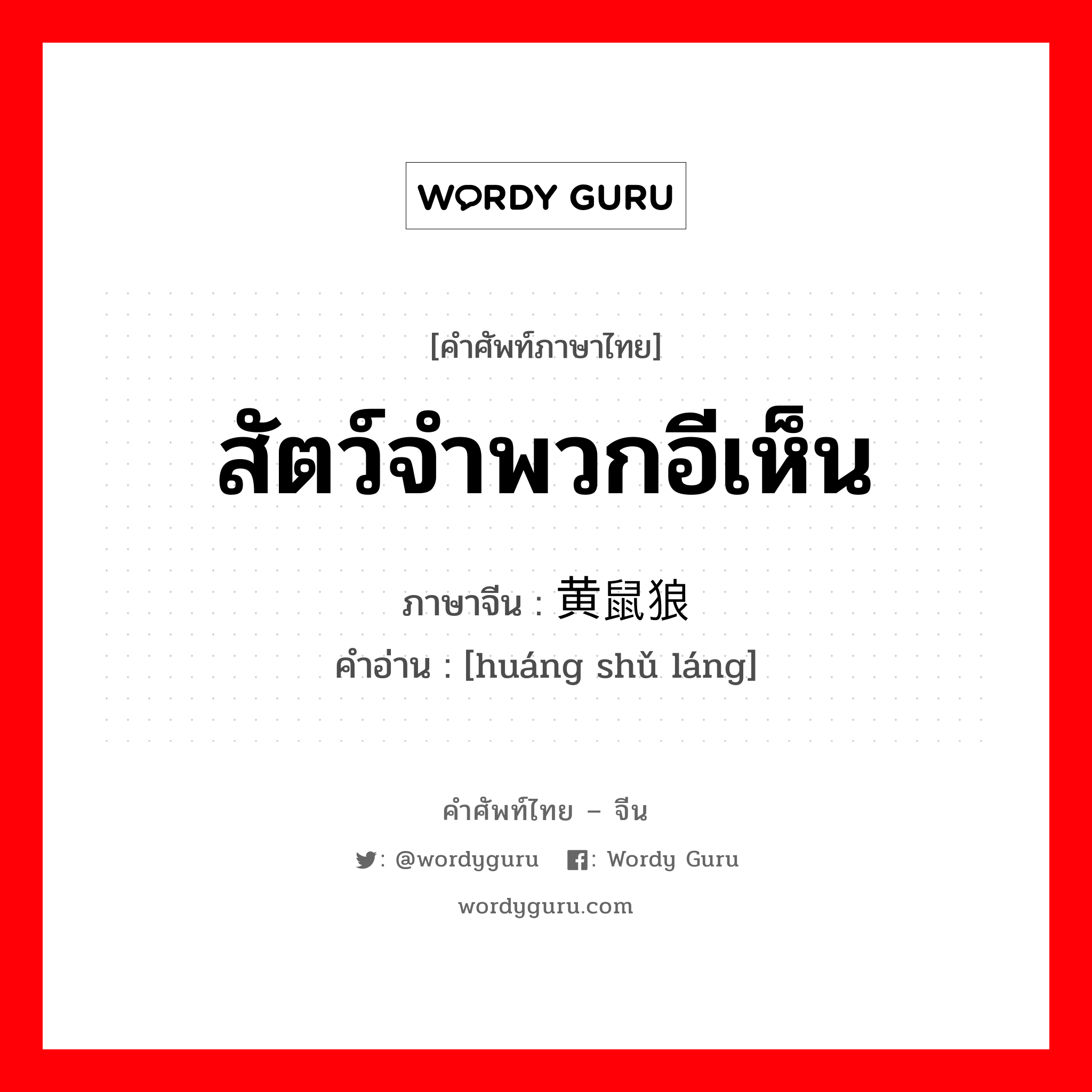 สัตว์จำพวกอีเห็น ภาษาจีนคืออะไร, คำศัพท์ภาษาไทย - จีน สัตว์จำพวกอีเห็น ภาษาจีน 黄鼠狼 คำอ่าน [huáng shǔ láng]