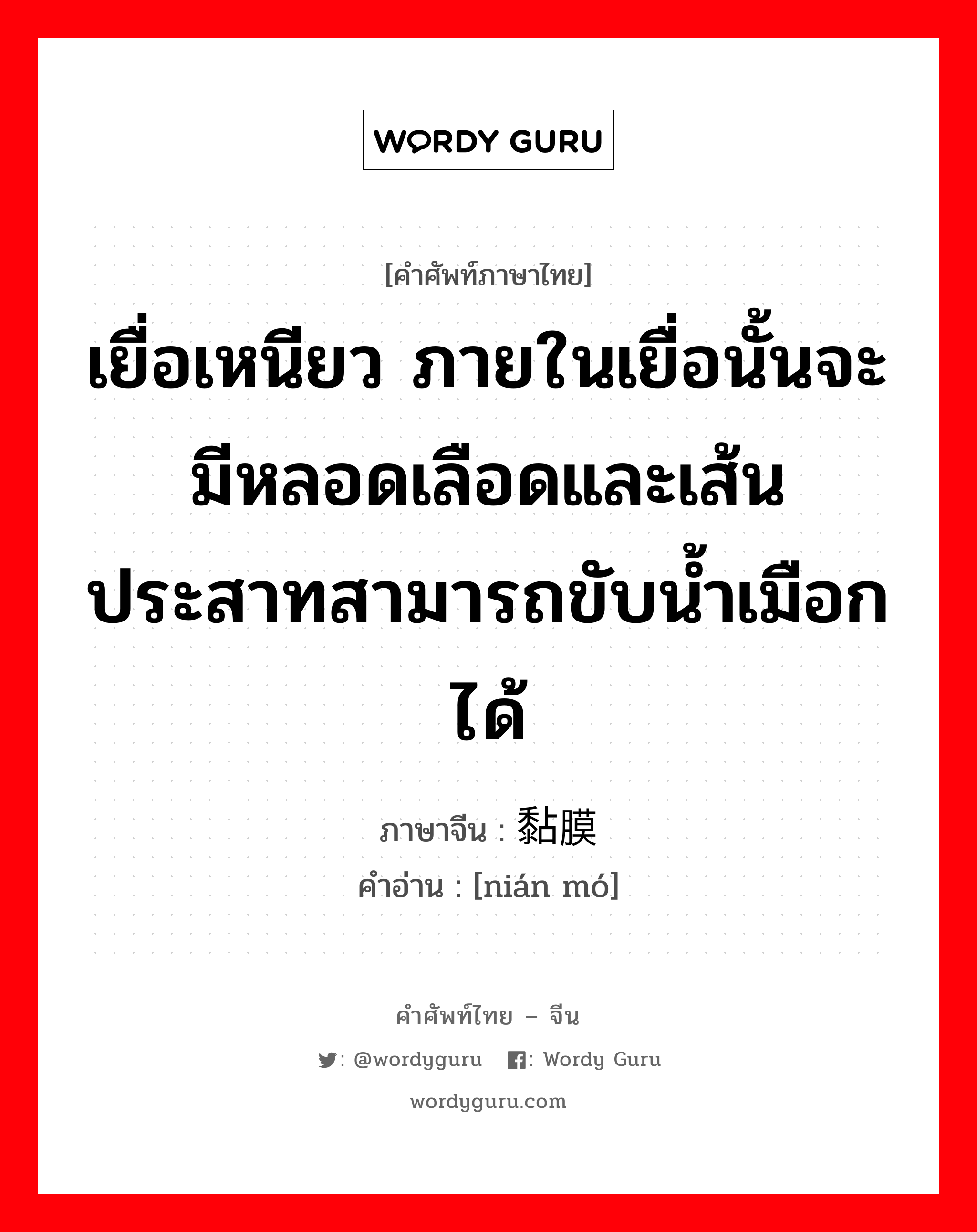 เยื่อเหนียว ภายในเยื่อนั้นจะมีหลอดเลือดและเส้นประสาทสามารถขับน้ำเมือกได้ ภาษาจีนคืออะไร, คำศัพท์ภาษาไทย - จีน เยื่อเหนียว ภายในเยื่อนั้นจะมีหลอดเลือดและเส้นประสาทสามารถขับน้ำเมือกได้ ภาษาจีน 黏膜 คำอ่าน [nián mó]