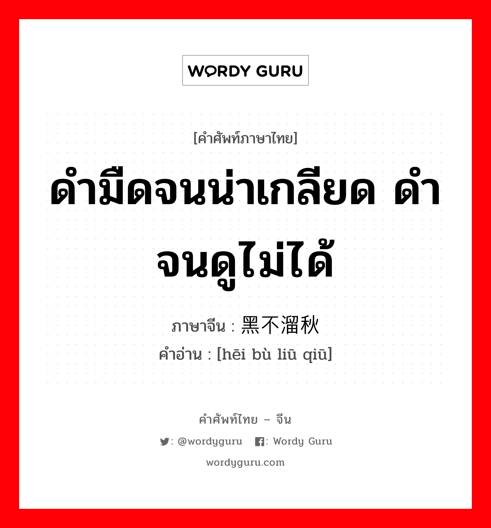 ดำมืดจนน่าเกลียด ดำจนดูไม่ได้ ภาษาจีนคืออะไร, คำศัพท์ภาษาไทย - จีน ดำมืดจนน่าเกลียด ดำจนดูไม่ได้ ภาษาจีน 黑不溜秋 คำอ่าน [hēi bù liū qiū]