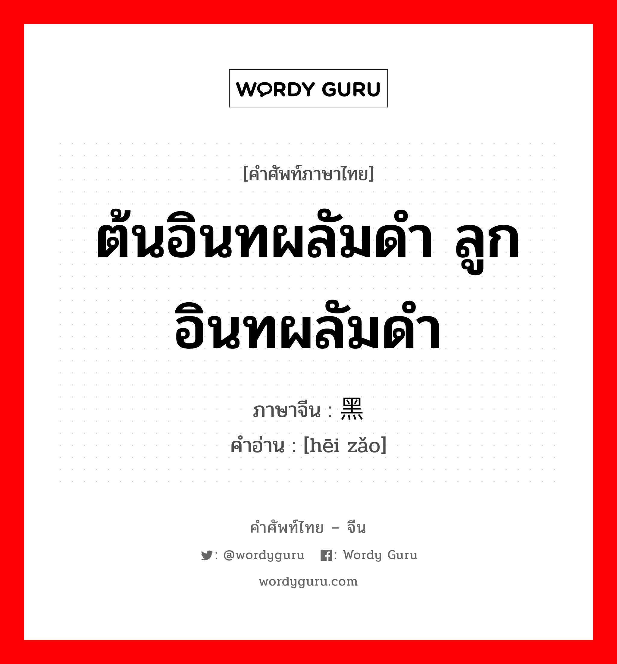 ต้นอินทผลัมดำ ลูกอินทผลัมดำ ภาษาจีนคืออะไร, คำศัพท์ภาษาไทย - จีน ต้นอินทผลัมดำ ลูกอินทผลัมดำ ภาษาจีน 黑枣 คำอ่าน [hēi zǎo]