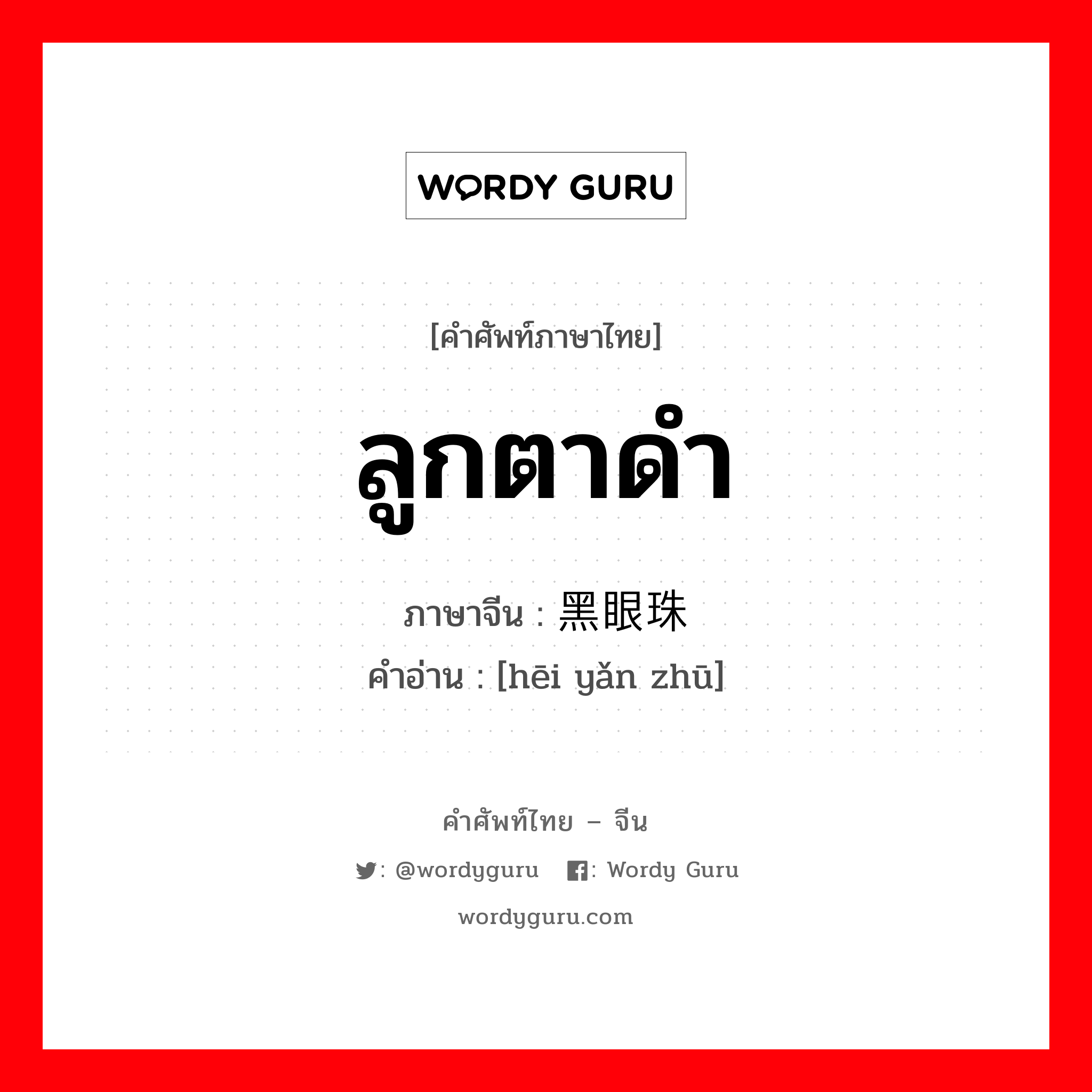 ลูกตาดำ ภาษาจีนคืออะไร, คำศัพท์ภาษาไทย - จีน ลูกตาดำ ภาษาจีน 黑眼珠 คำอ่าน [hēi yǎn zhū]