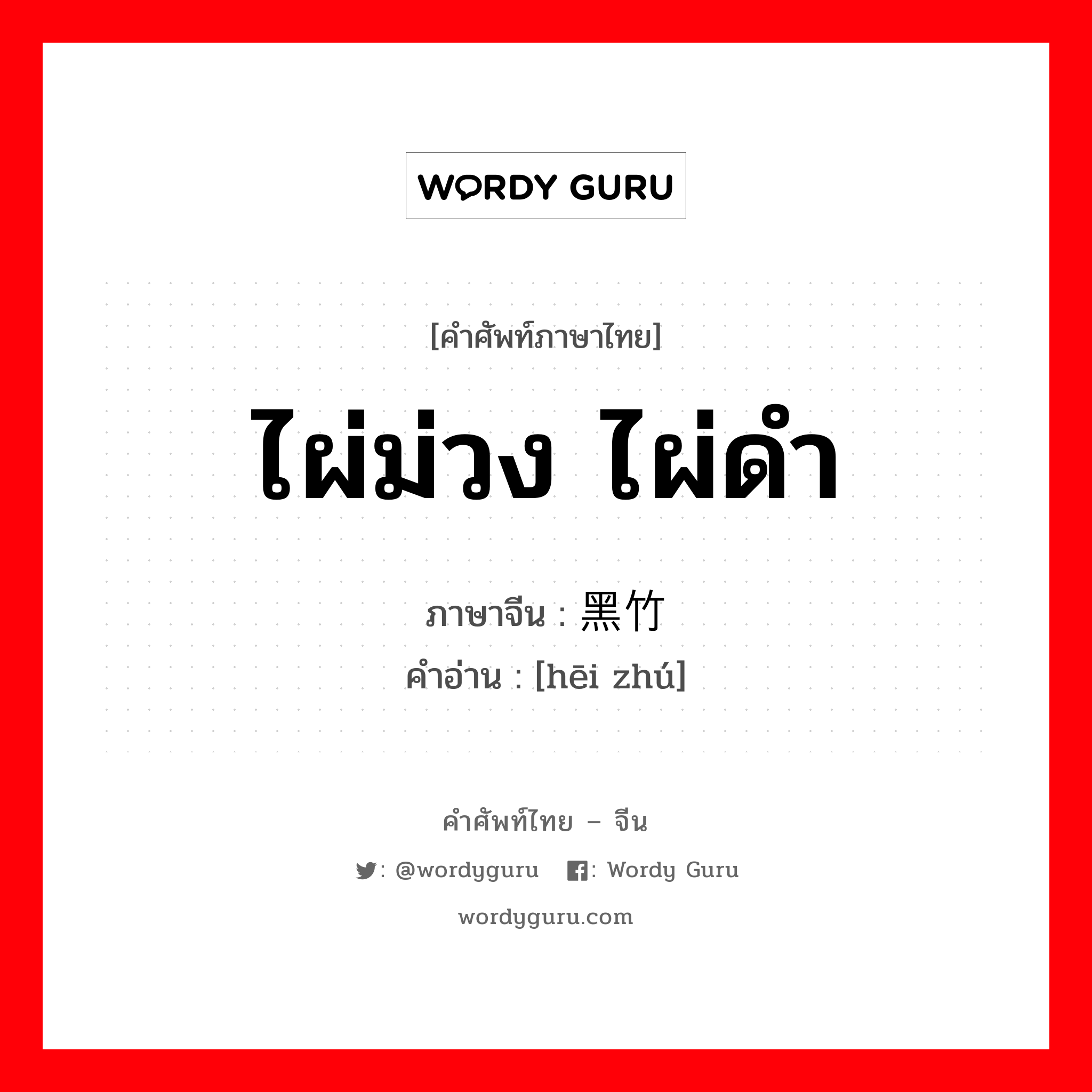 ไผ่ม่วง ไผ่ดำ ภาษาจีนคืออะไร, คำศัพท์ภาษาไทย - จีน ไผ่ม่วง ไผ่ดำ ภาษาจีน 黑竹 คำอ่าน [hēi zhú]