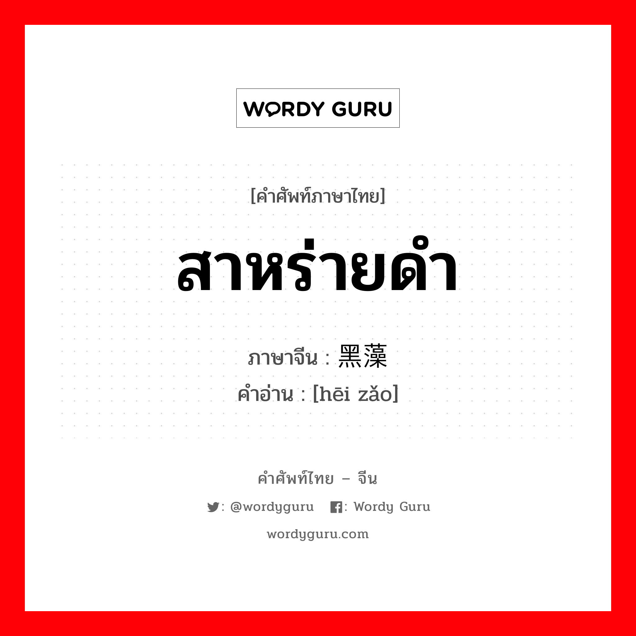 สาหร่ายดำ ภาษาจีนคืออะไร, คำศัพท์ภาษาไทย - จีน สาหร่ายดำ ภาษาจีน 黑藻 คำอ่าน [hēi zǎo]