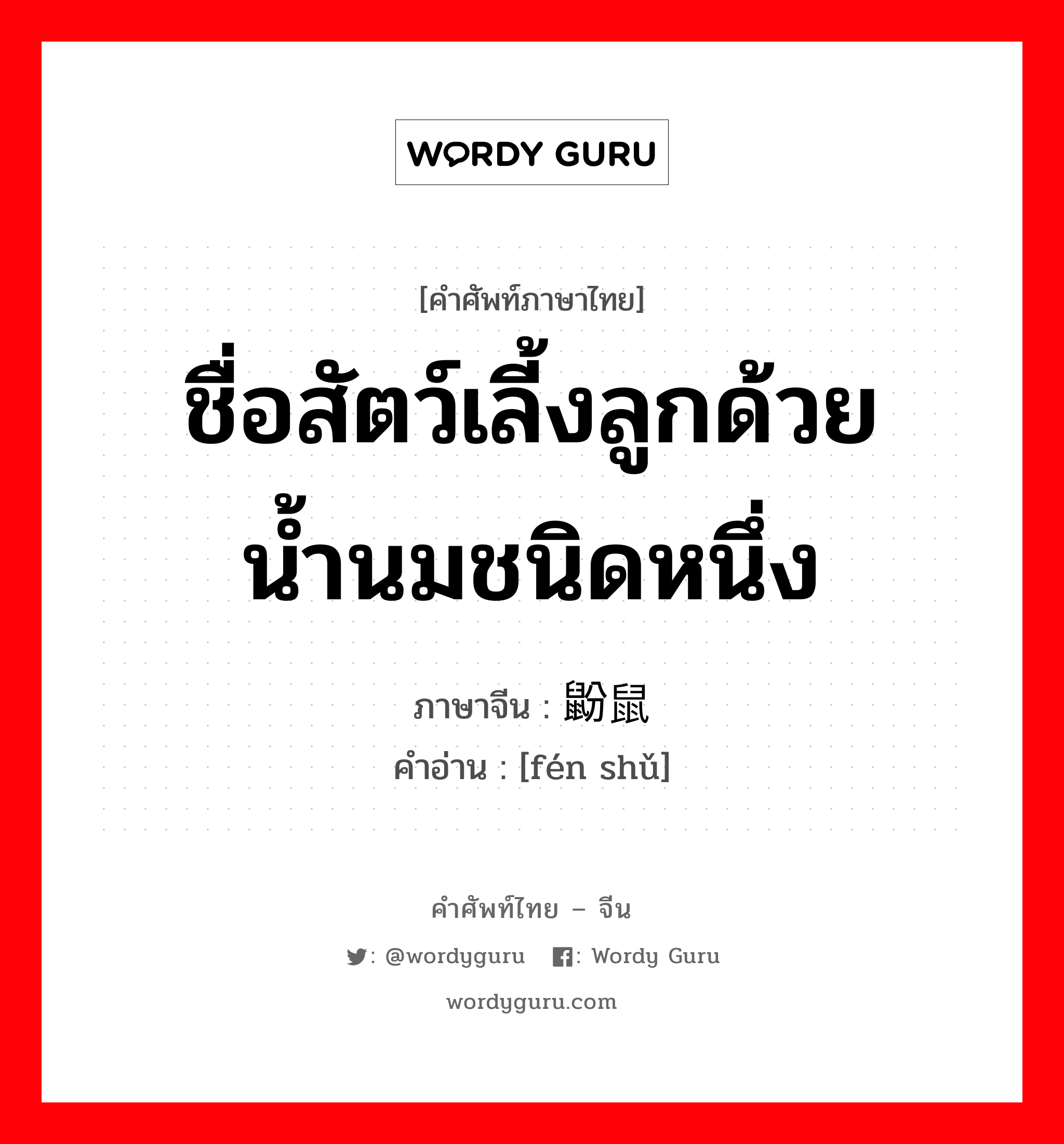 ชื่อสัตว์เลี้งลูกด้วยน้ำนมชนิดหนึ่ง ภาษาจีนคืออะไร, คำศัพท์ภาษาไทย - จีน ชื่อสัตว์เลี้งลูกด้วยน้ำนมชนิดหนึ่ง ภาษาจีน 鼢鼠 คำอ่าน [fén shǔ]