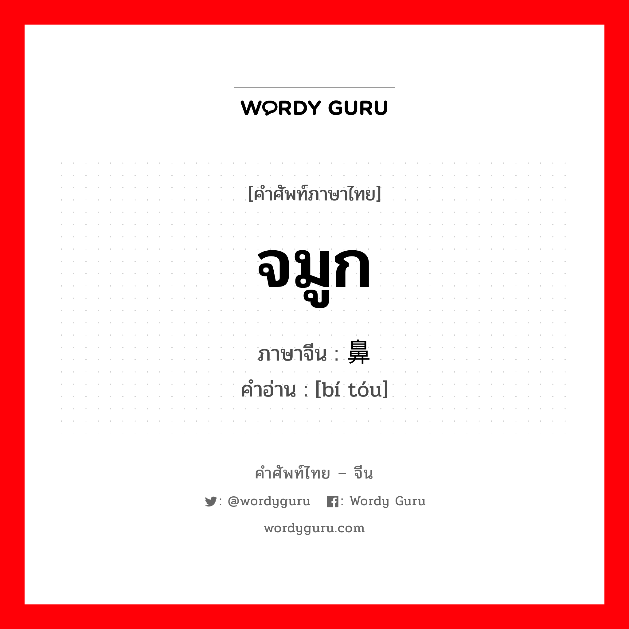 จมูก ภาษาจีนคืออะไร, คำศัพท์ภาษาไทย - จีน จมูก ภาษาจีน 鼻头 คำอ่าน [bí tóu]