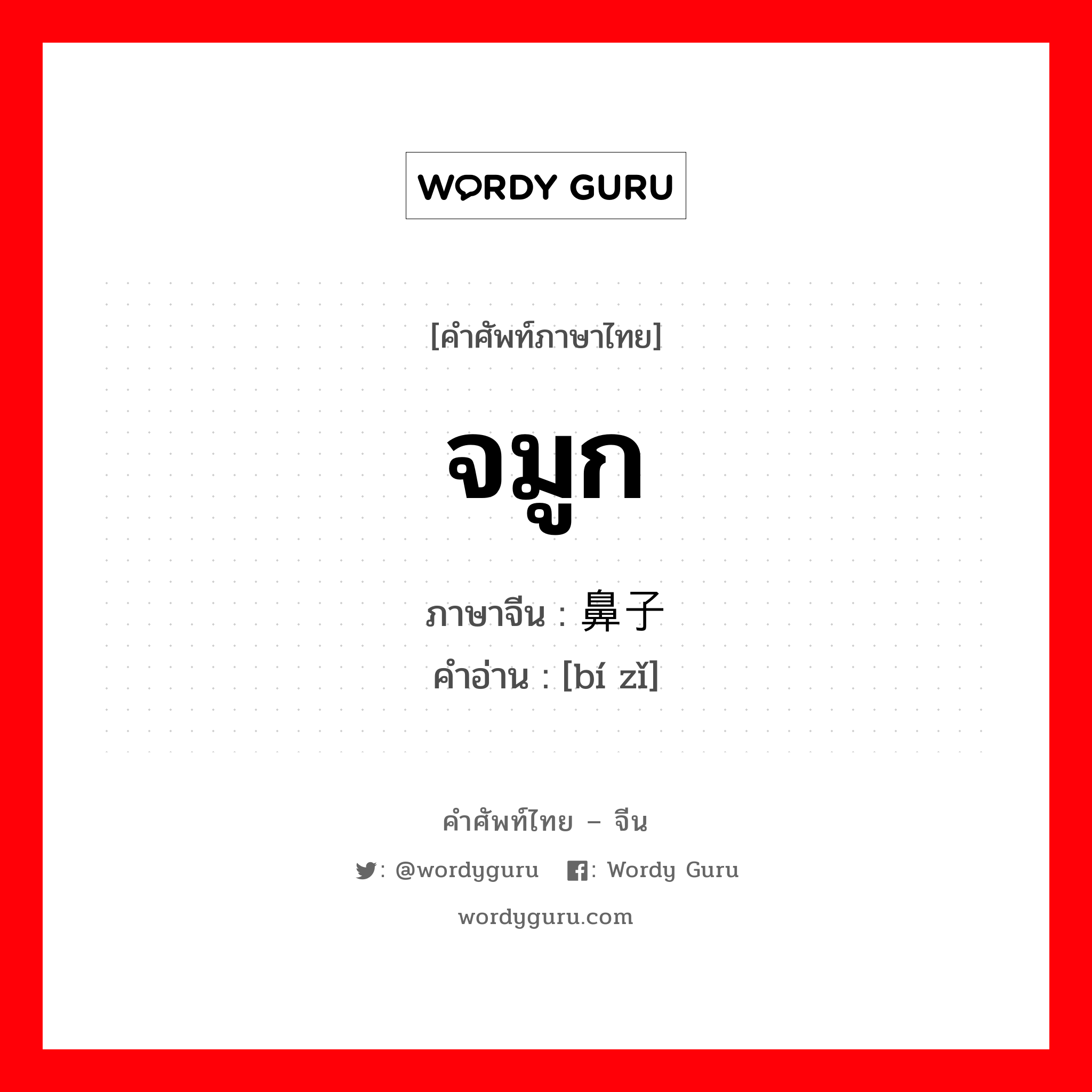 จมูก ภาษาจีนคืออะไร, คำศัพท์ภาษาไทย - จีน จมูก ภาษาจีน 鼻子 คำอ่าน [bí zǐ]