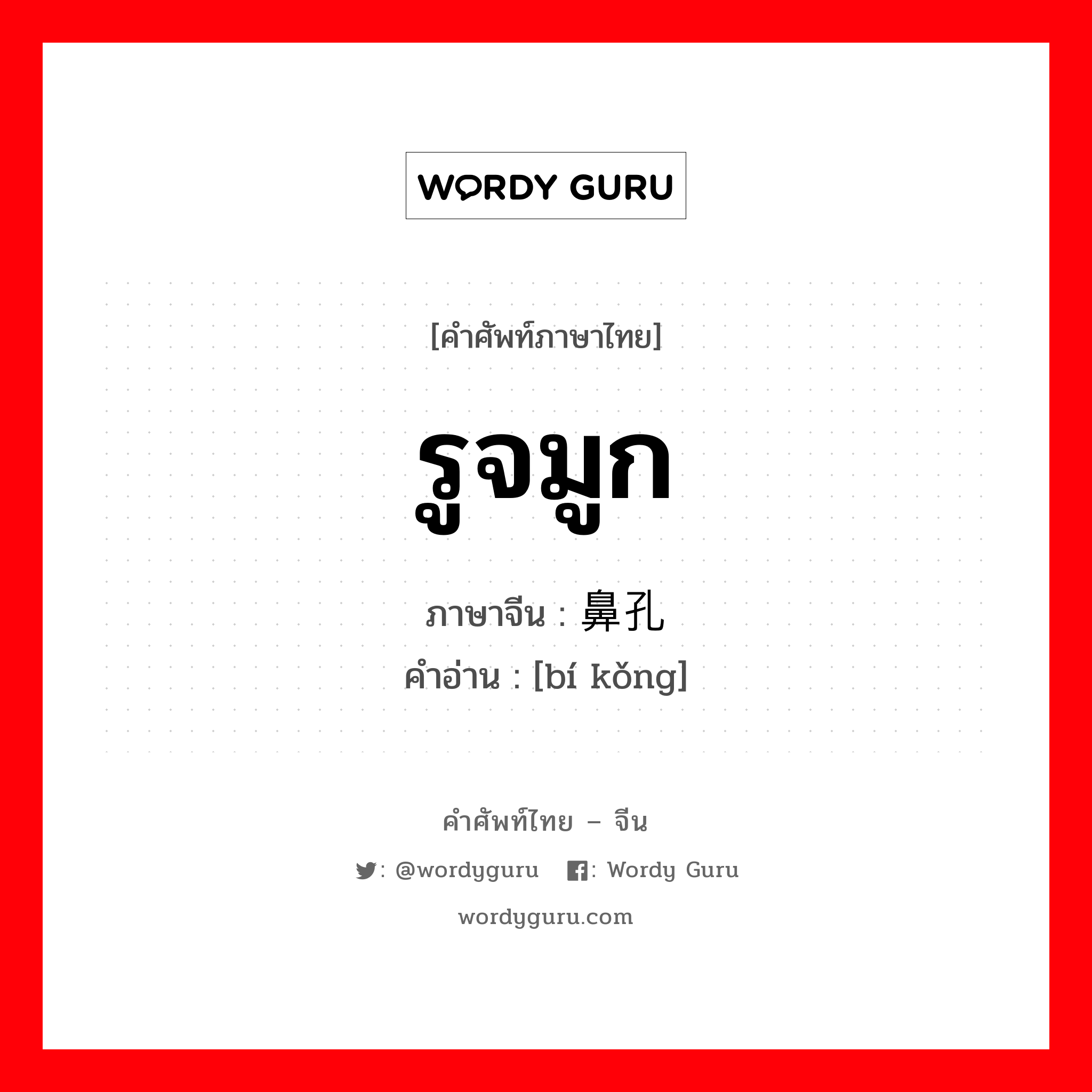 รูจมูก ภาษาจีนคืออะไร, คำศัพท์ภาษาไทย - จีน รูจมูก ภาษาจีน 鼻孔 คำอ่าน [bí kǒng]