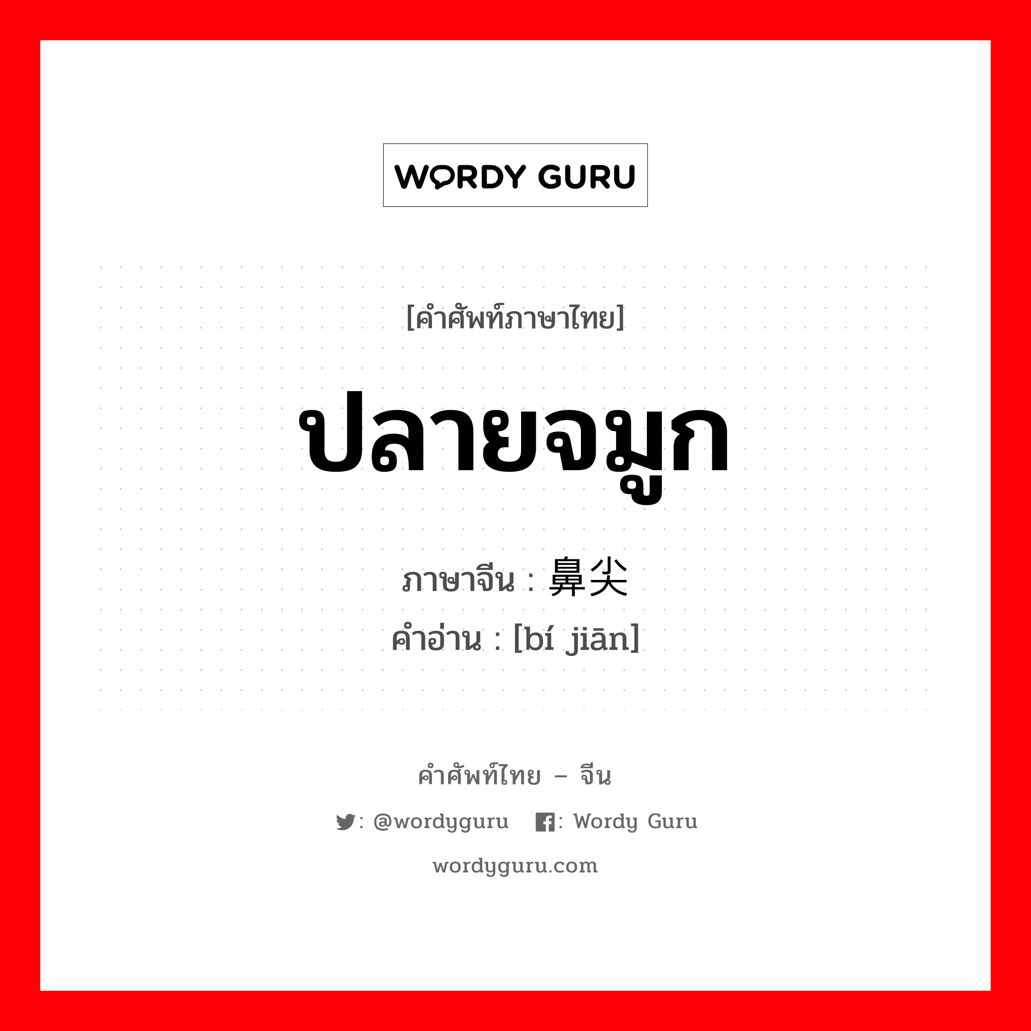 ปลายจมูก ภาษาจีนคืออะไร, คำศัพท์ภาษาไทย - จีน ปลายจมูก ภาษาจีน 鼻尖 คำอ่าน [bí jiān]