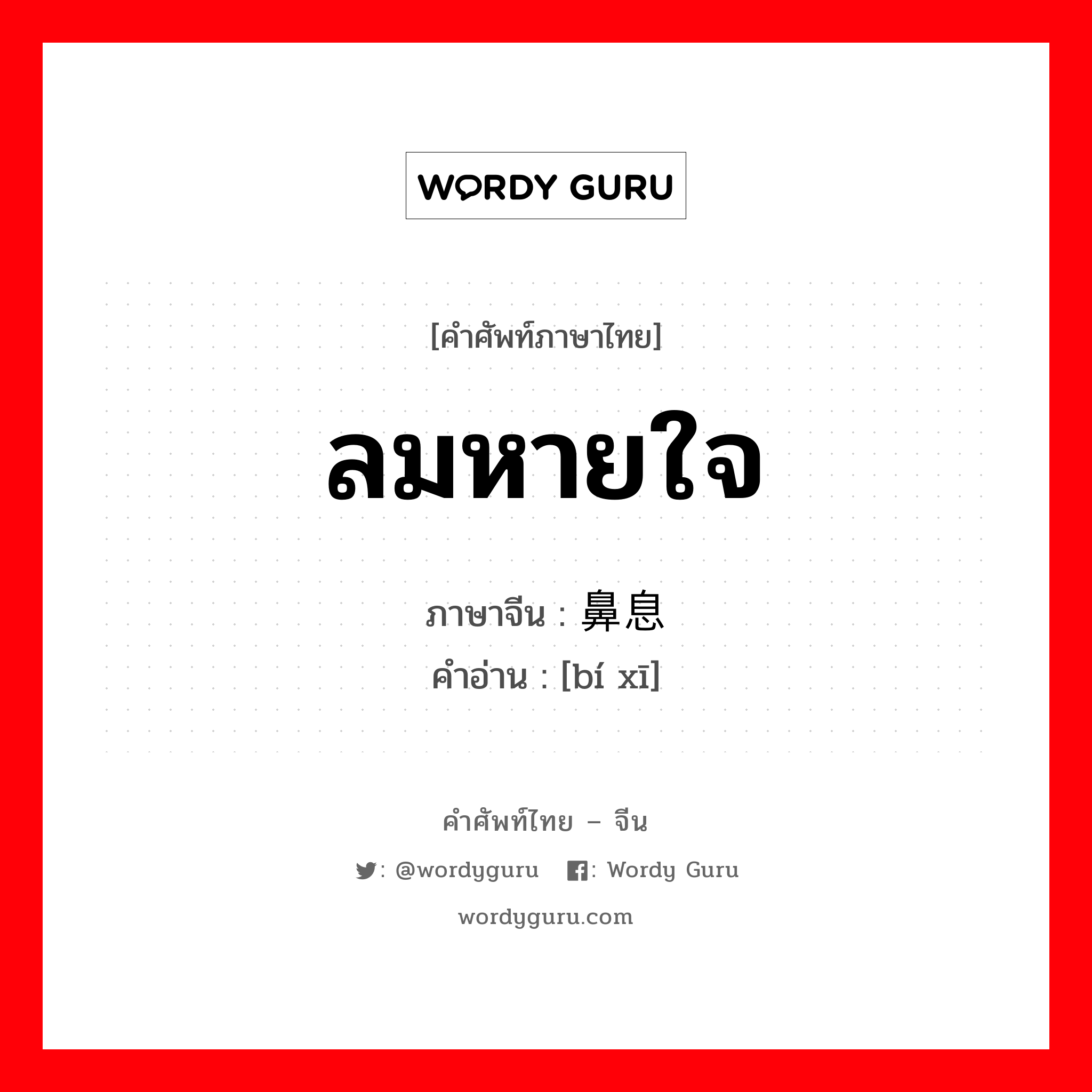 ลมหายใจ ภาษาจีนคืออะไร, คำศัพท์ภาษาไทย - จีน ลมหายใจ ภาษาจีน 鼻息 คำอ่าน [bí xī]